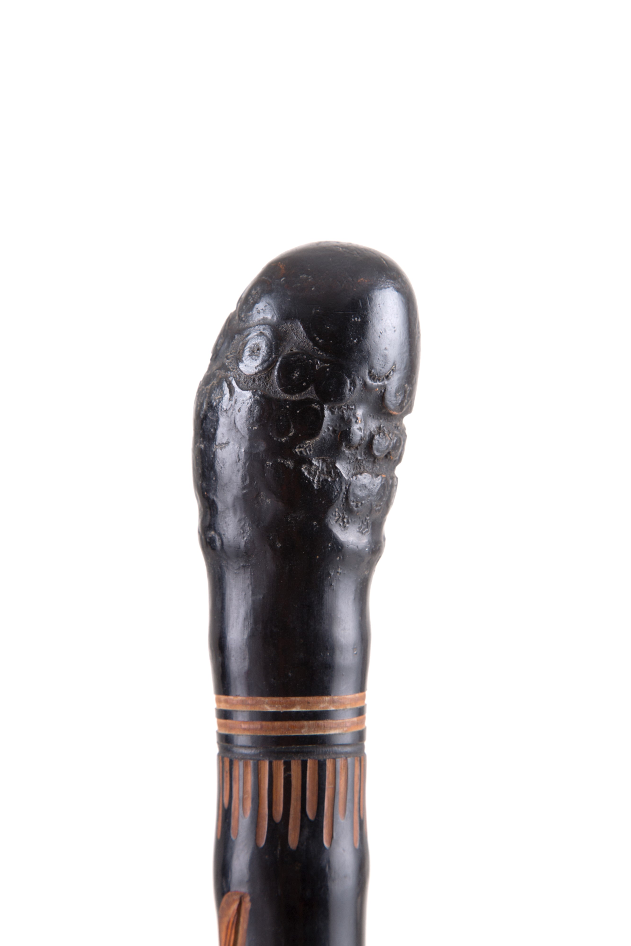 Bastone animato con canna da pesca