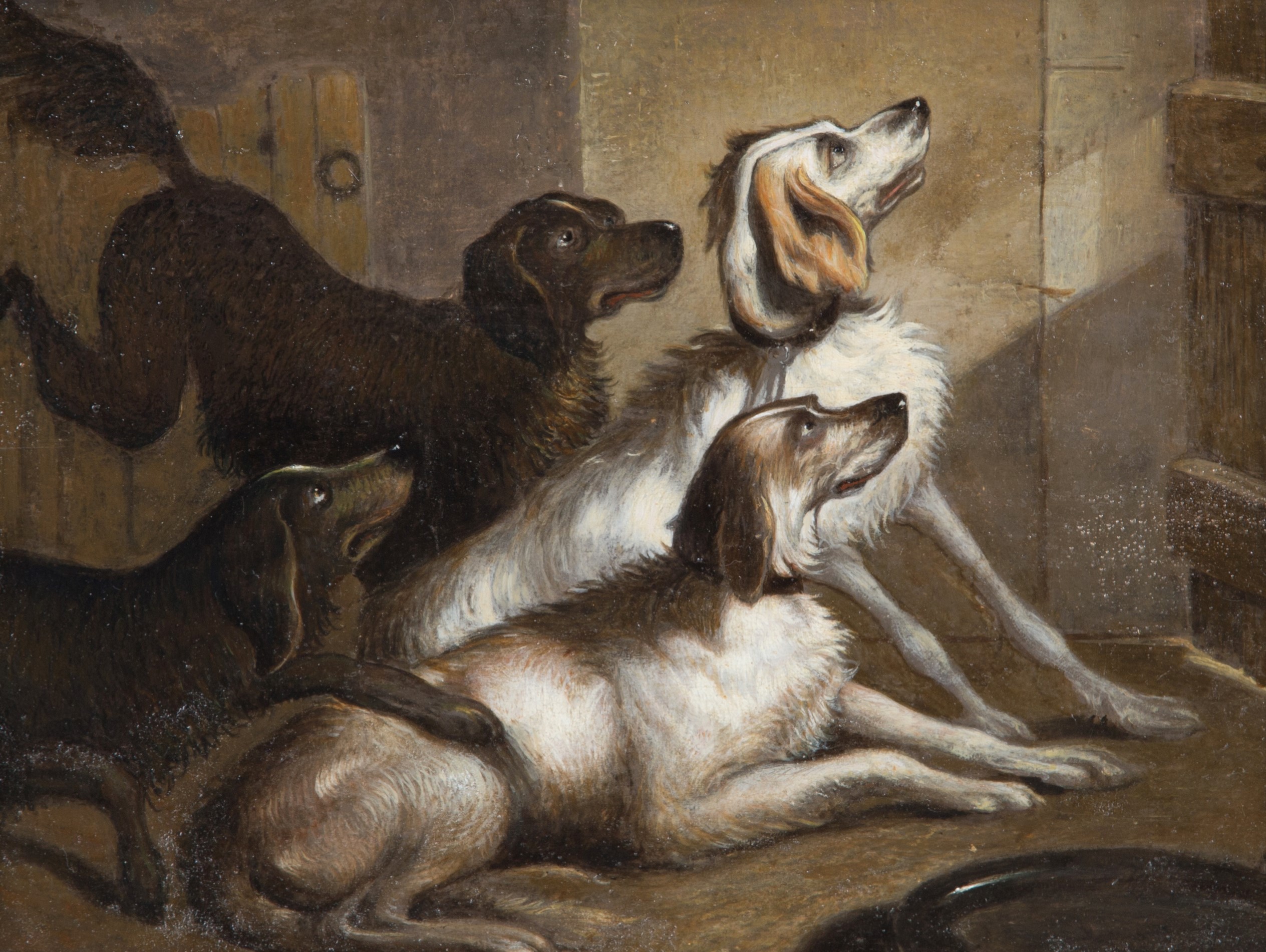 John Frederick Tayler - Coppia di Dipinti "cani"
