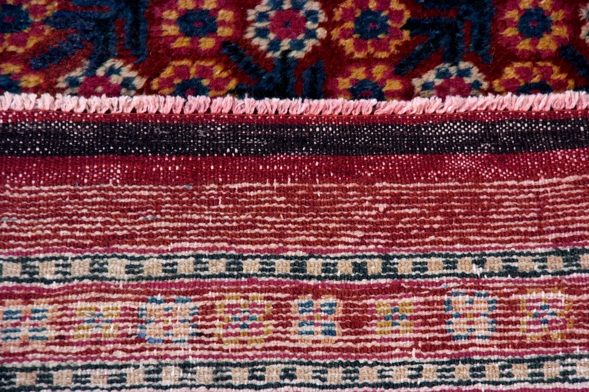 Tappeto Khotan. Turkestan Orientale