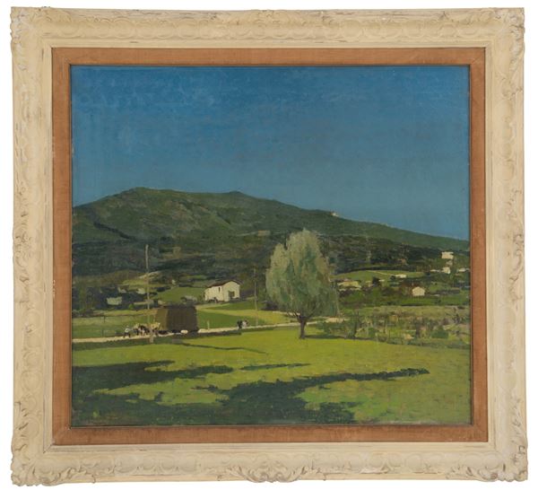 DOMENICO DE BERNARDI - Painting "PREALPI"