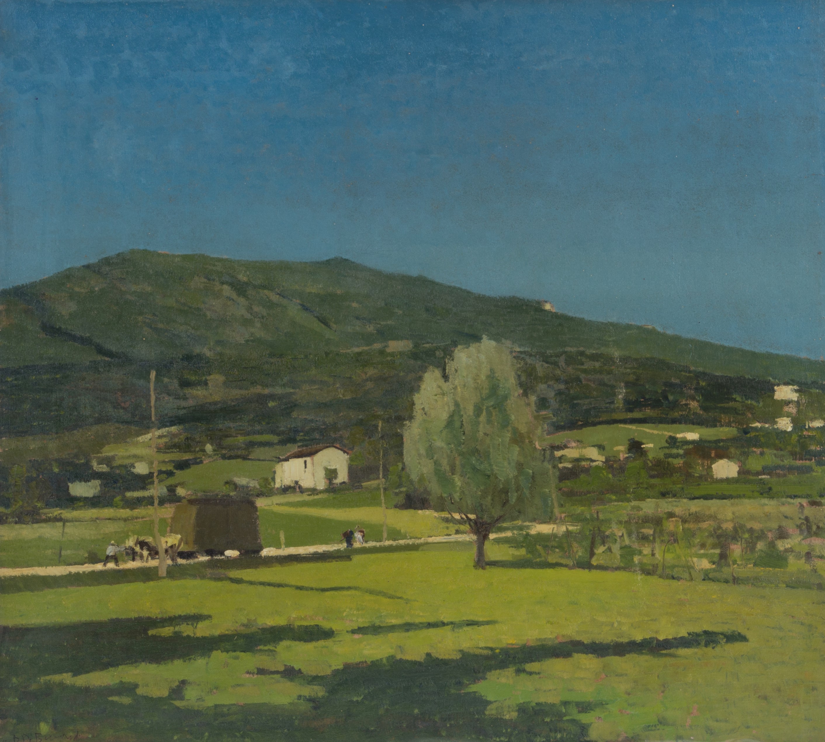Domenico De Bernardi - Dipinto "prealpi"