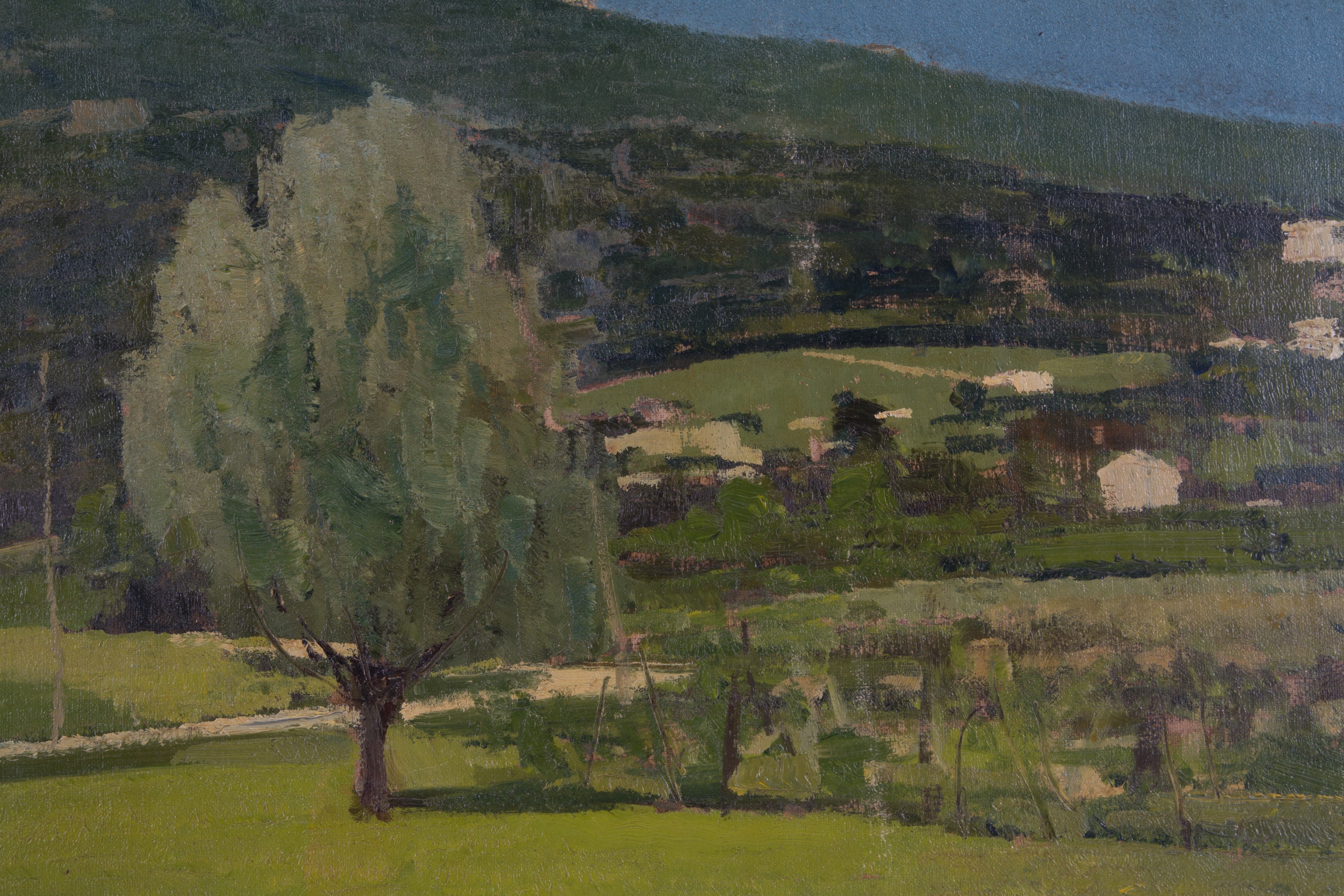 Domenico De Bernardi - Dipinto "prealpi"