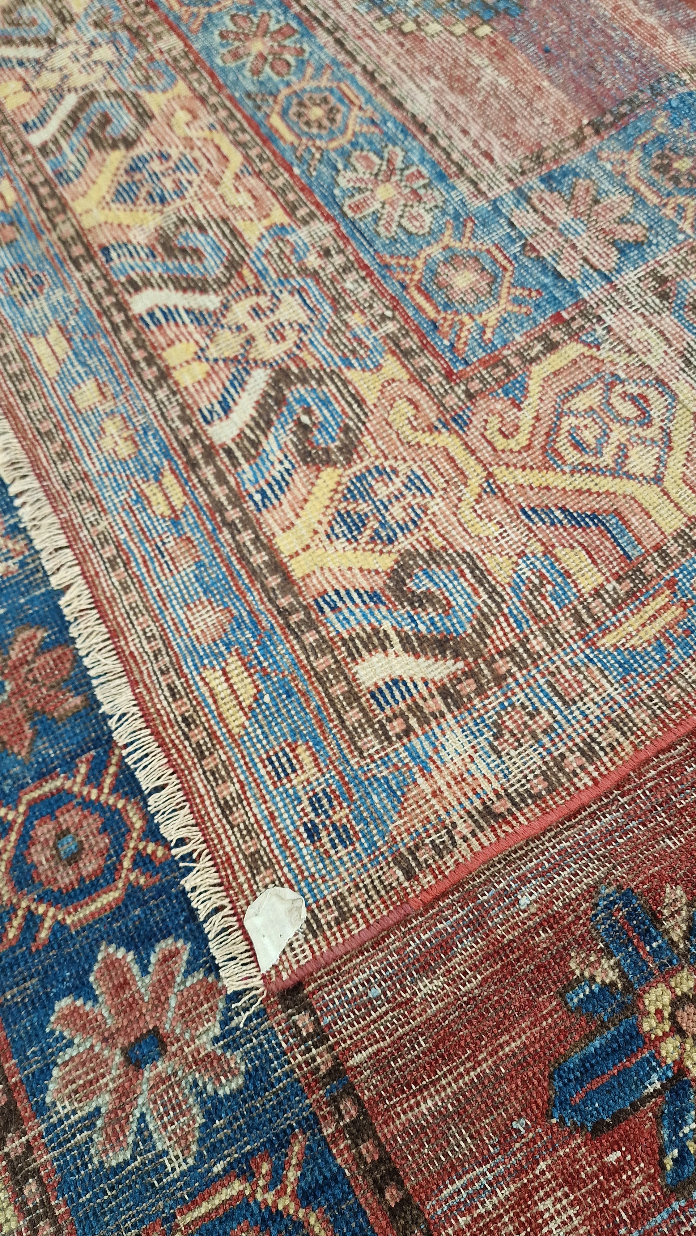 Tappeto Khotan. Turkestan Orientale