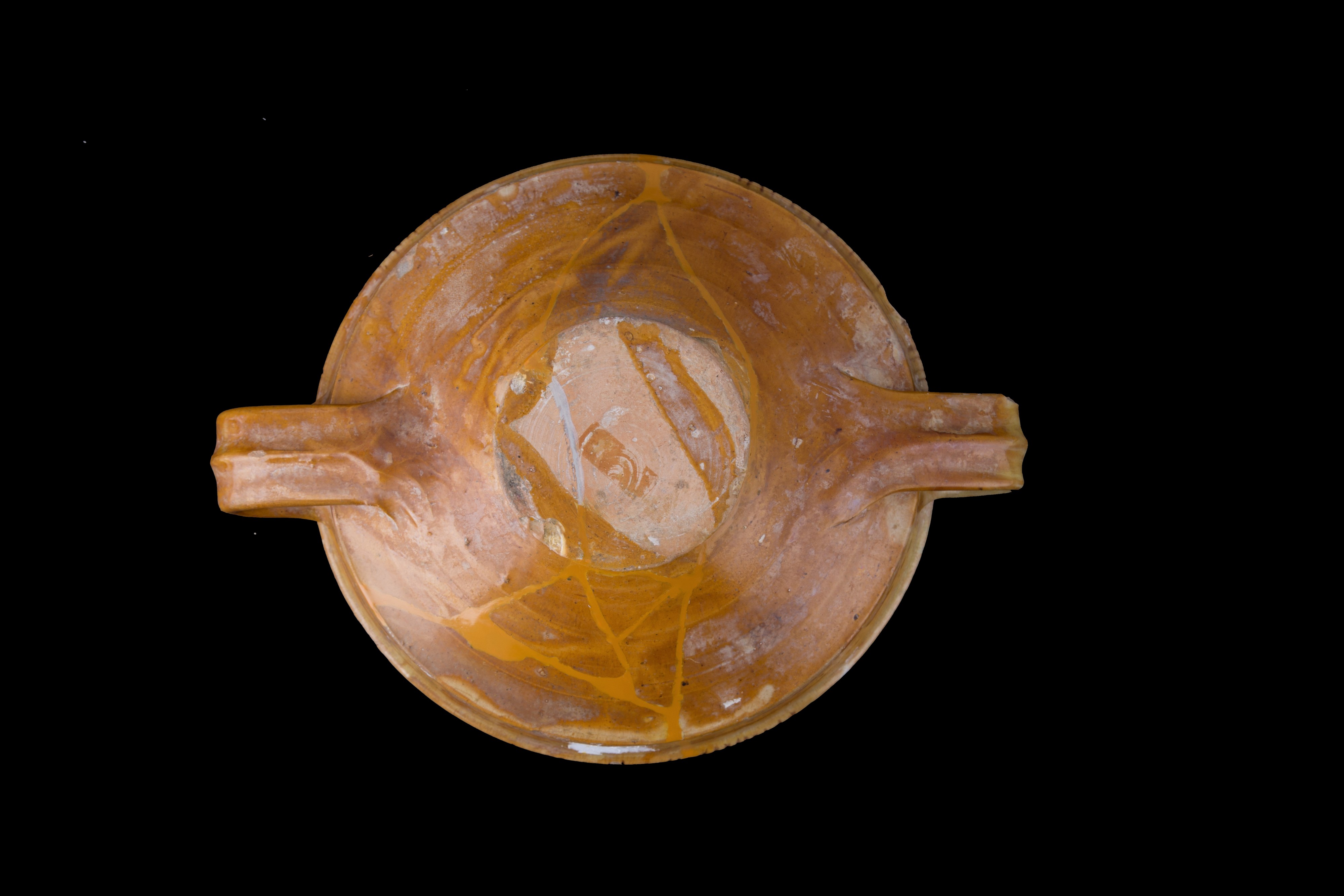 Coppa in Maiolica con Leone