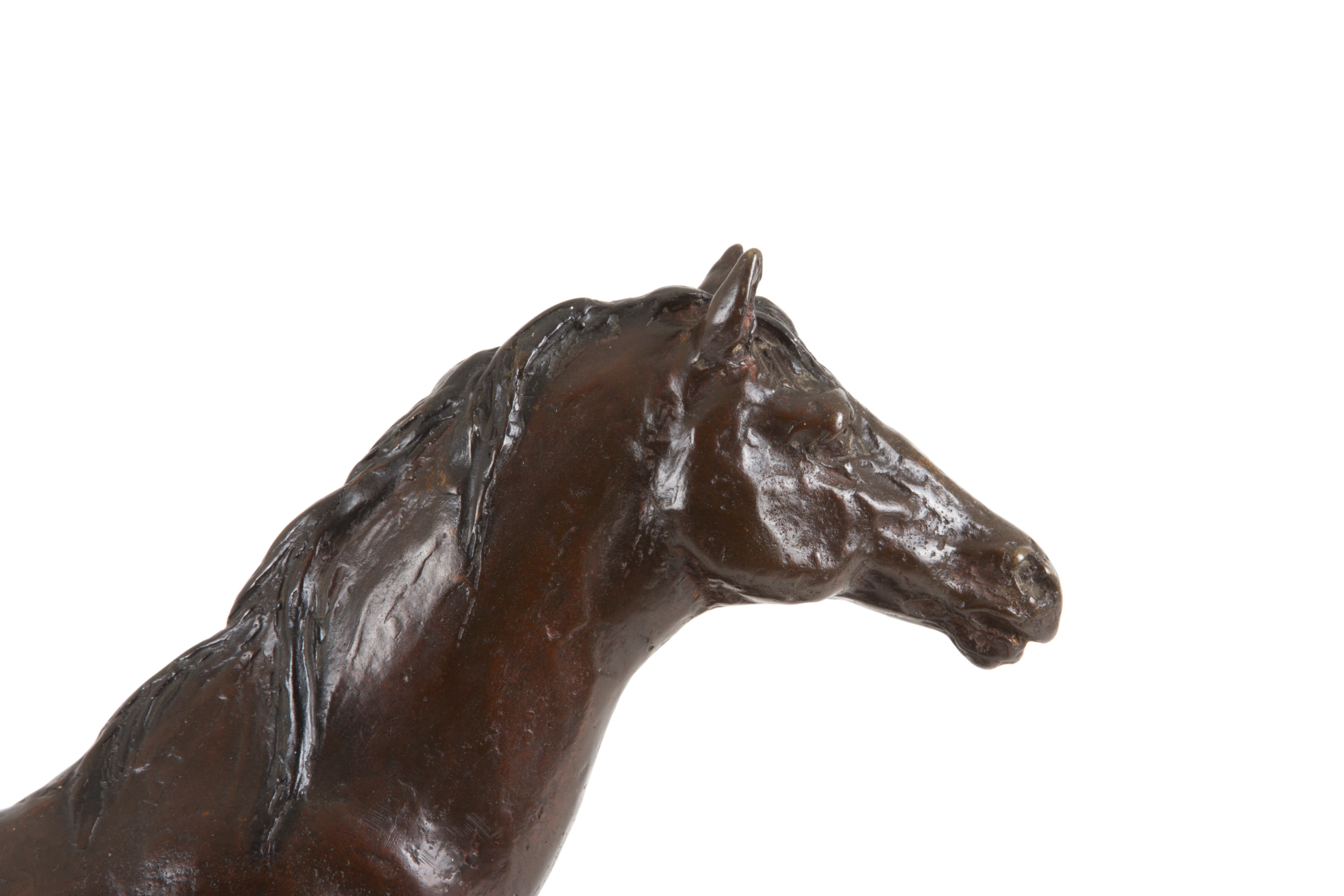 Scultura "cavalli"