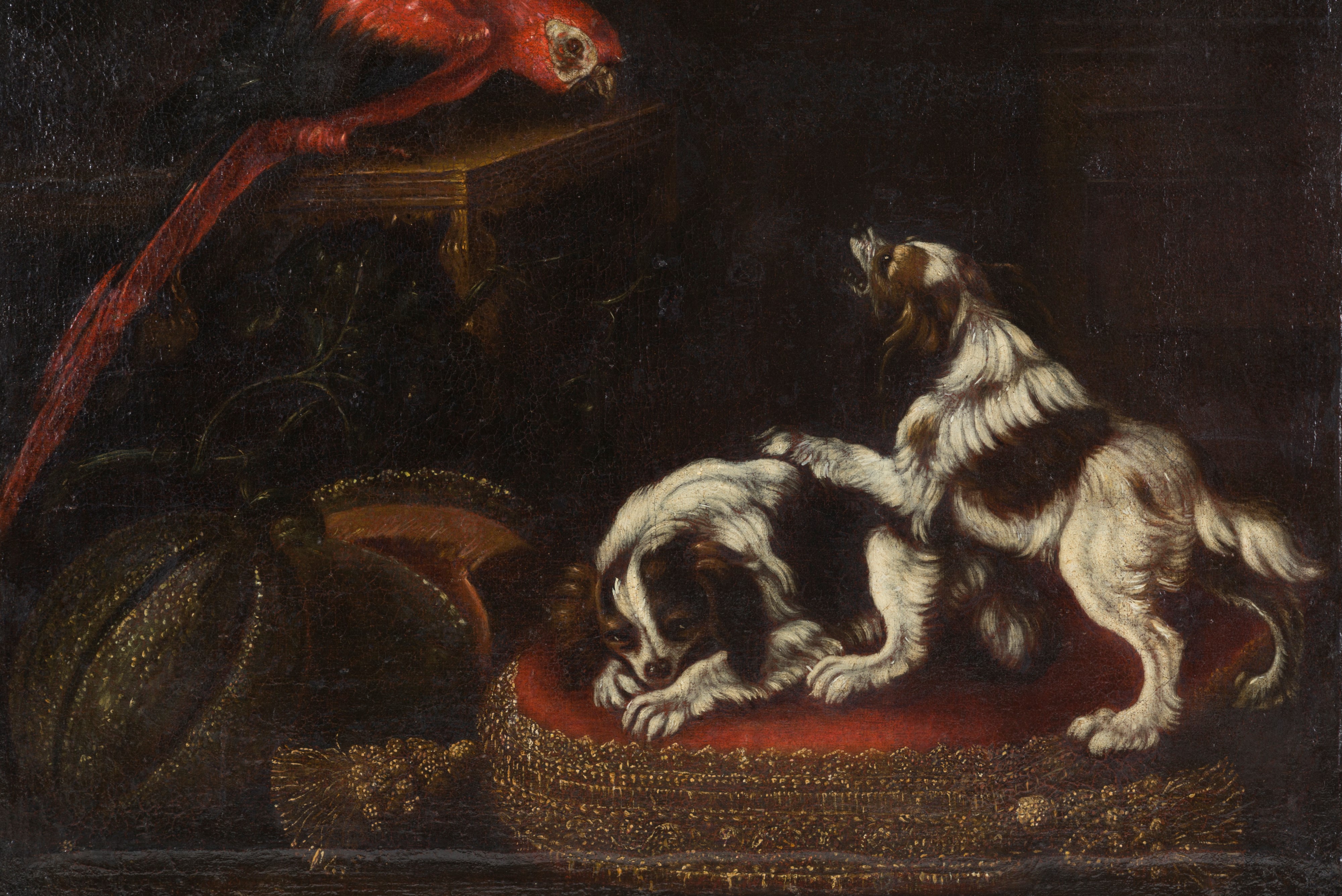 Dipinto "natura Morta con Cani, Zucca e Pappagallo"