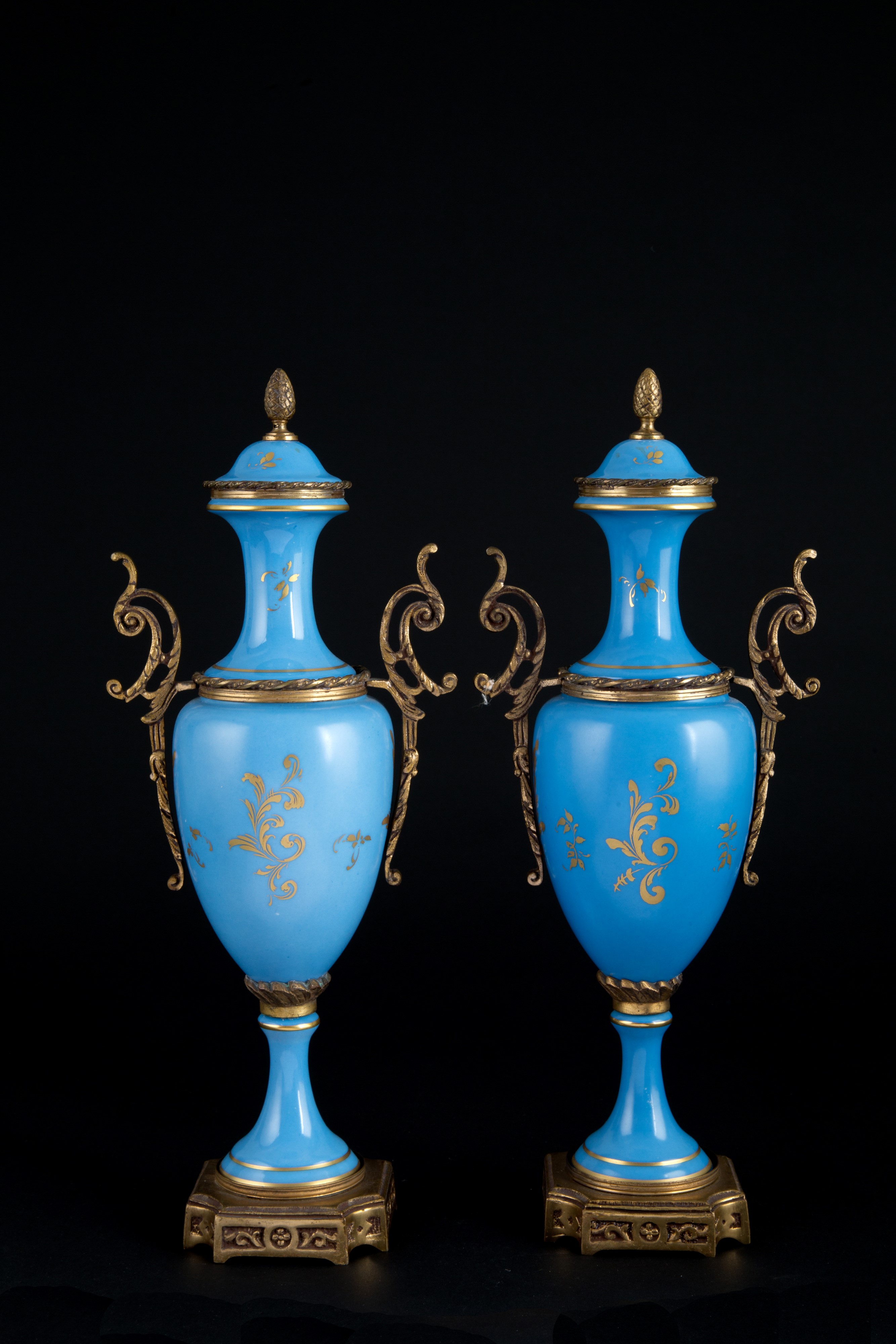 Coppia di vasi in porcellana