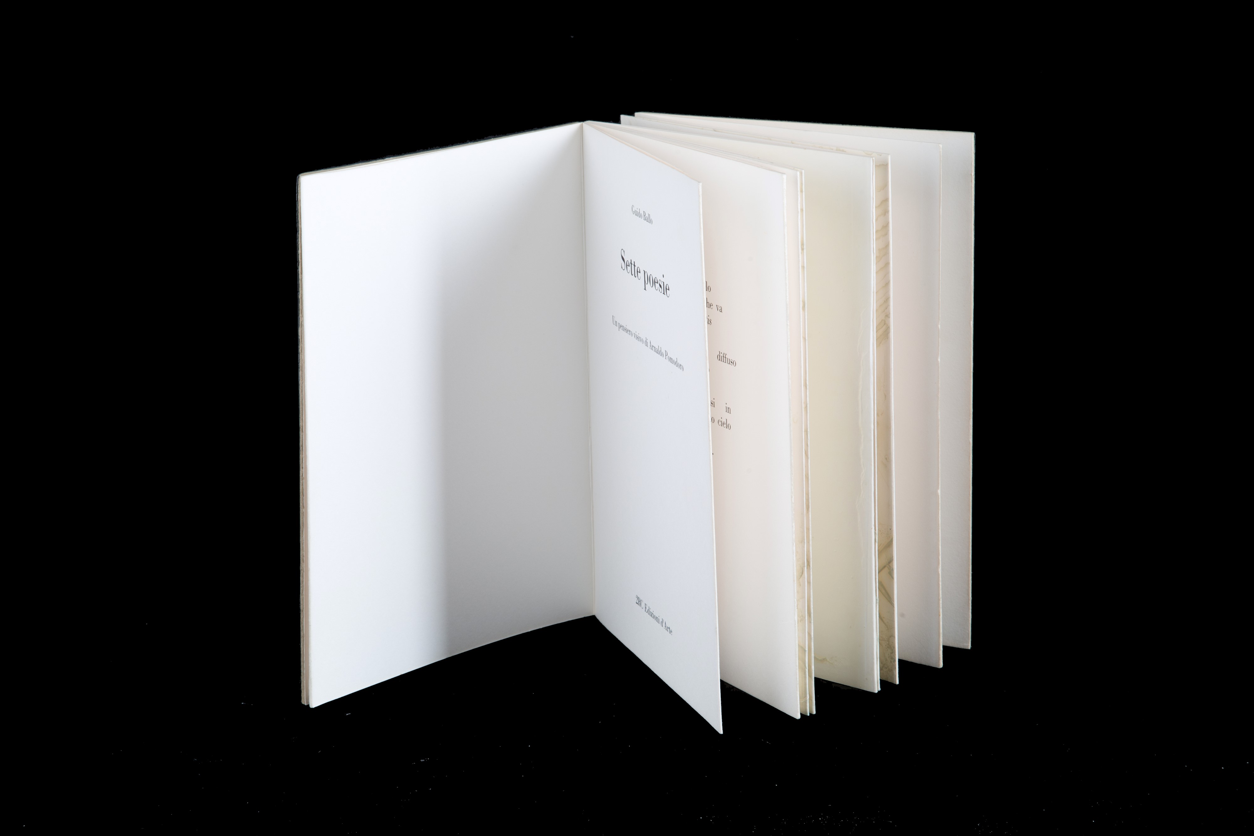 Sette poesie con un pensiero visivo