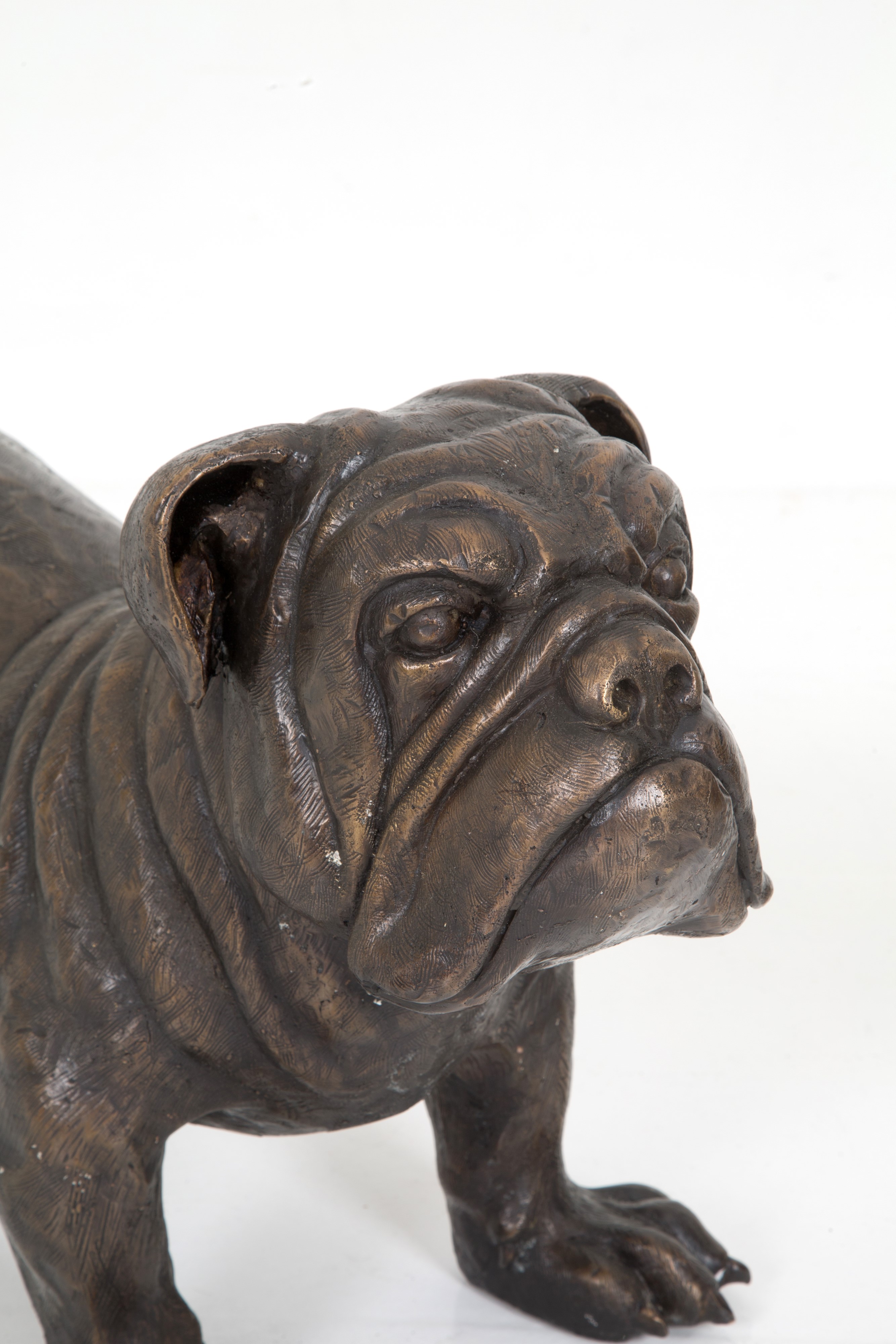 Scultura "bulldog"