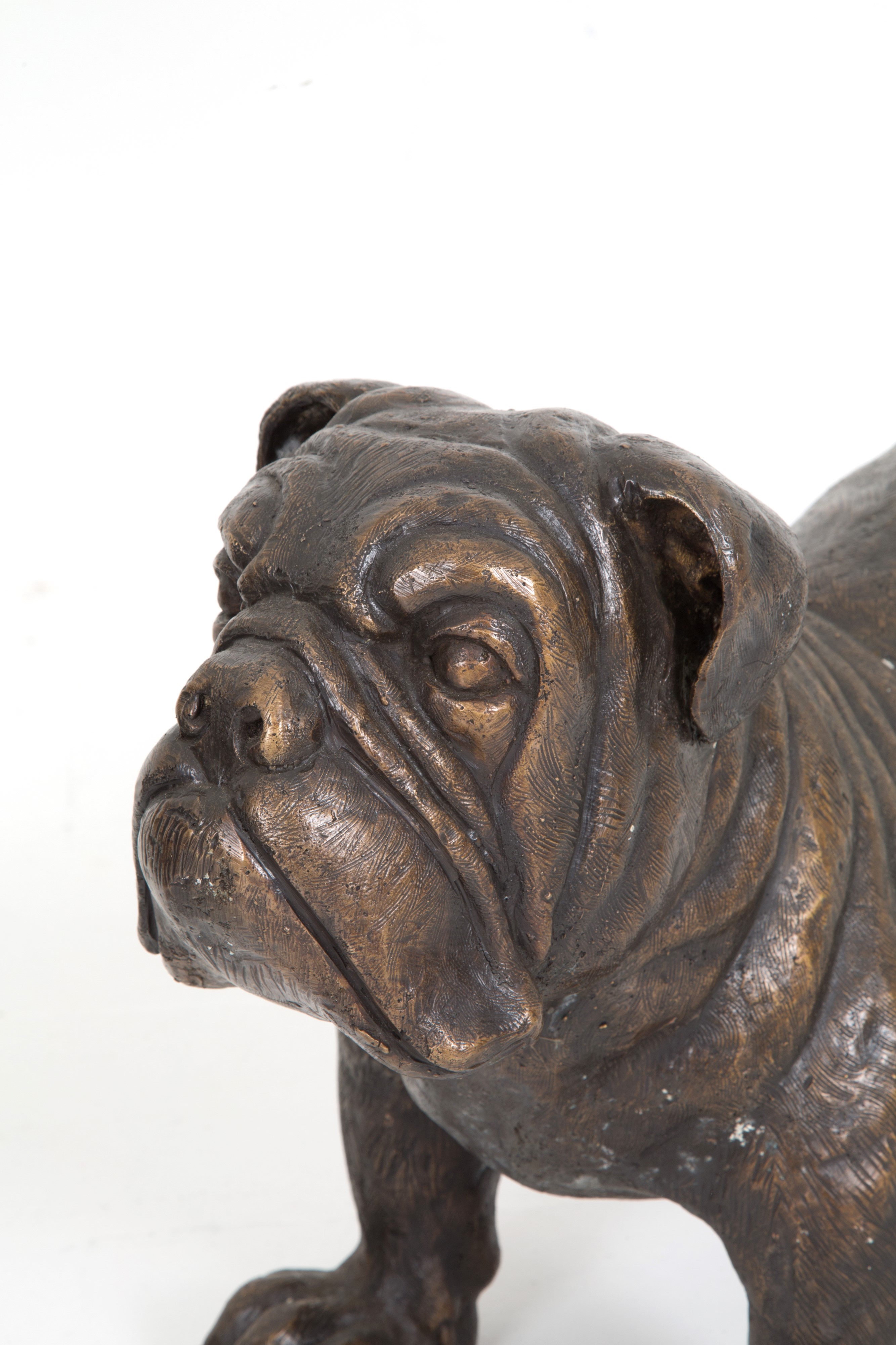 Scultura "bulldog"