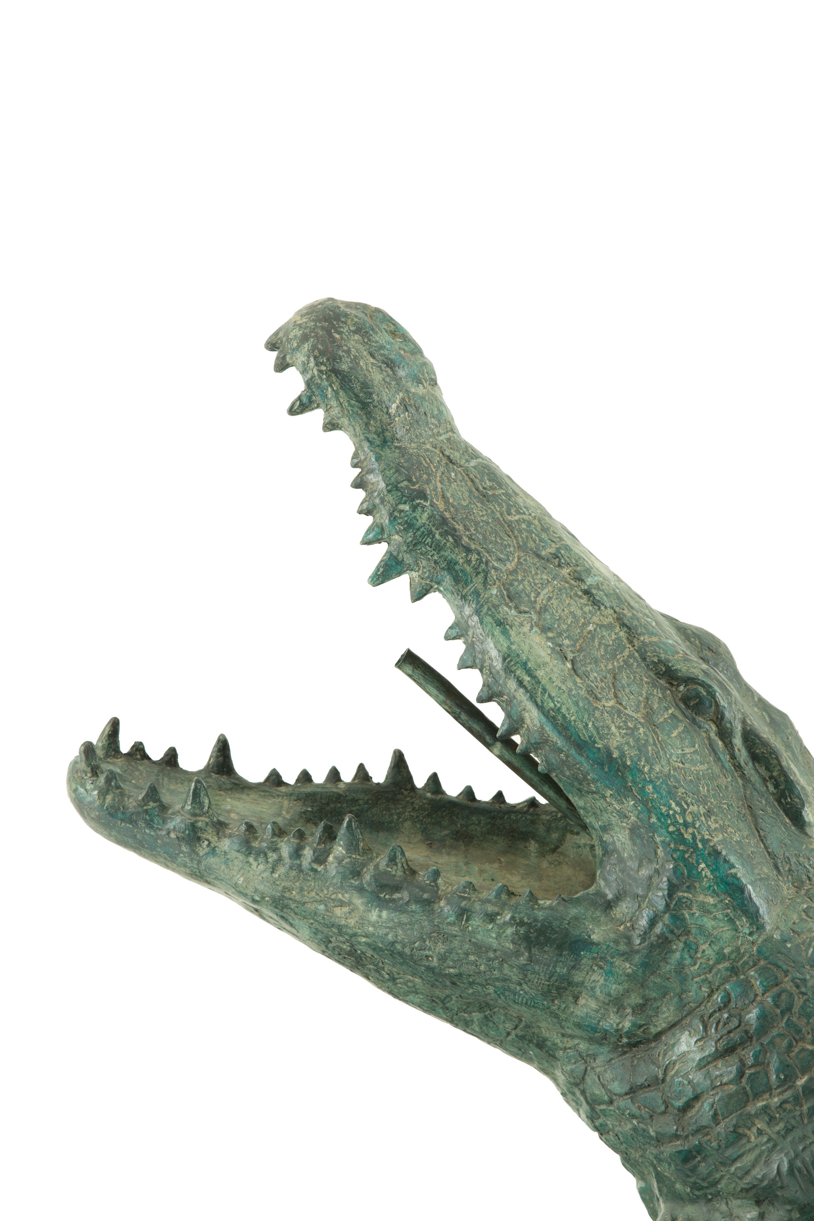Scultura "coccodrillo"