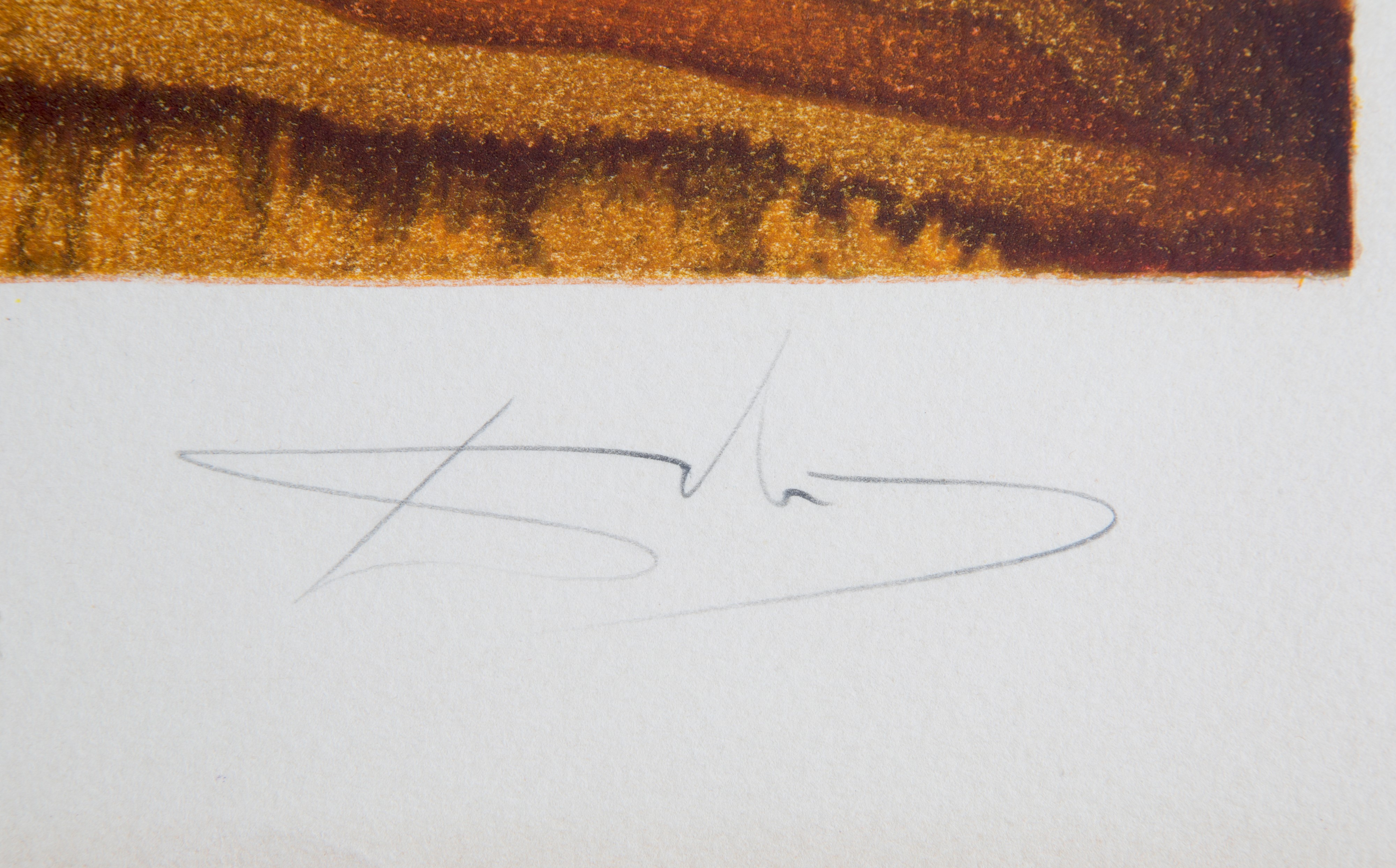 Litografia "LES MONTRES MOLLES"