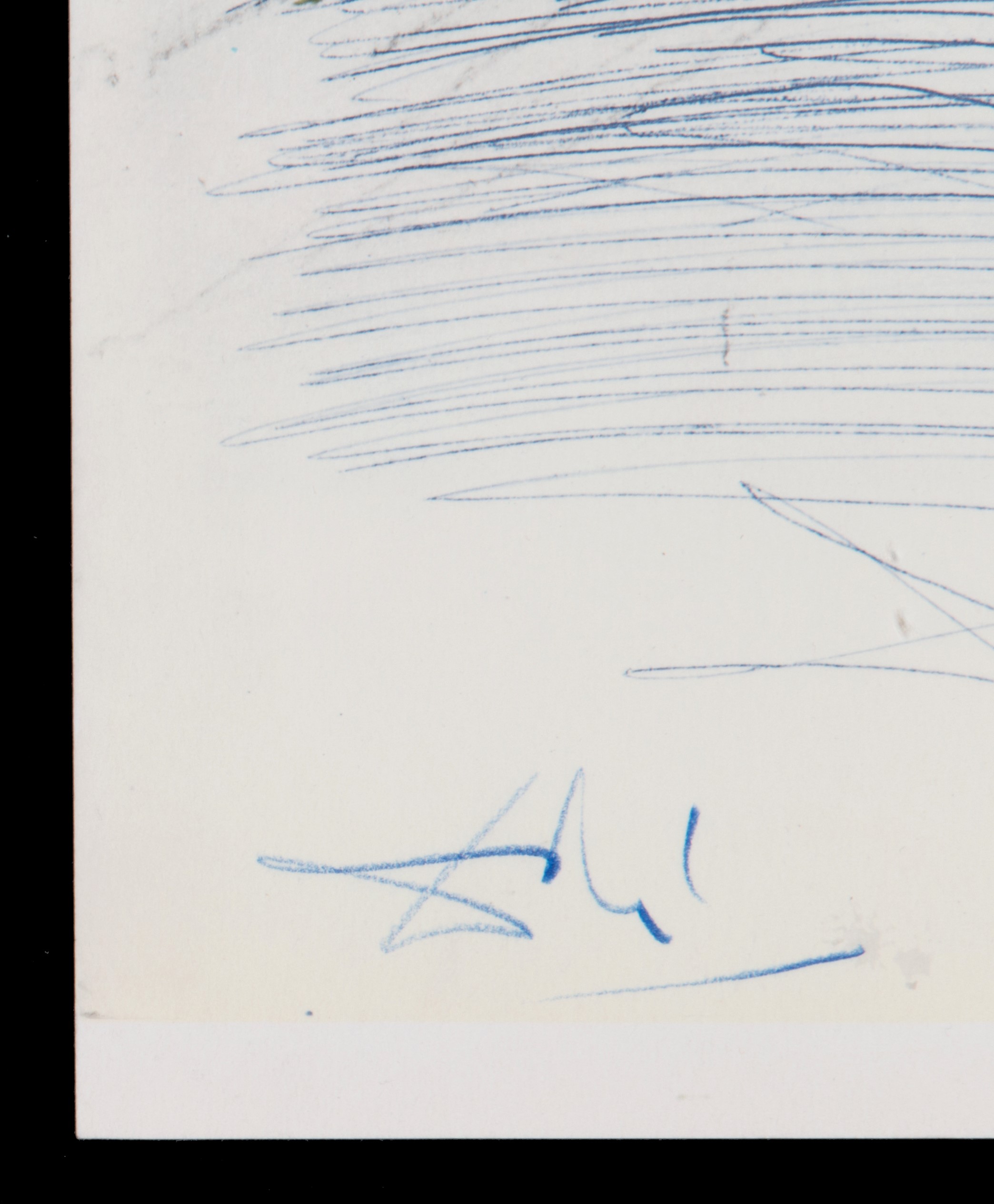 Salvador Dali' - Quattro Litografie. Biblia Sacra