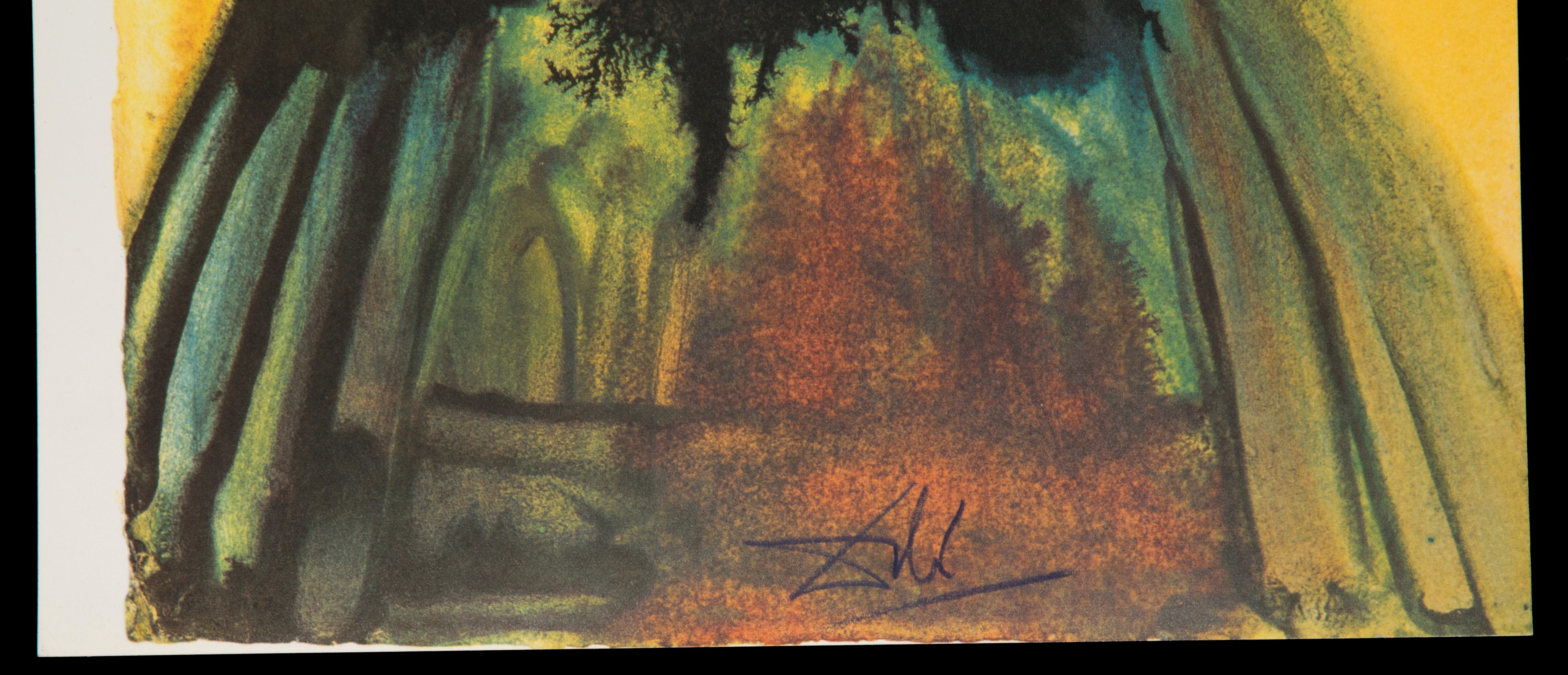 Due litografie. Biblia Sacra