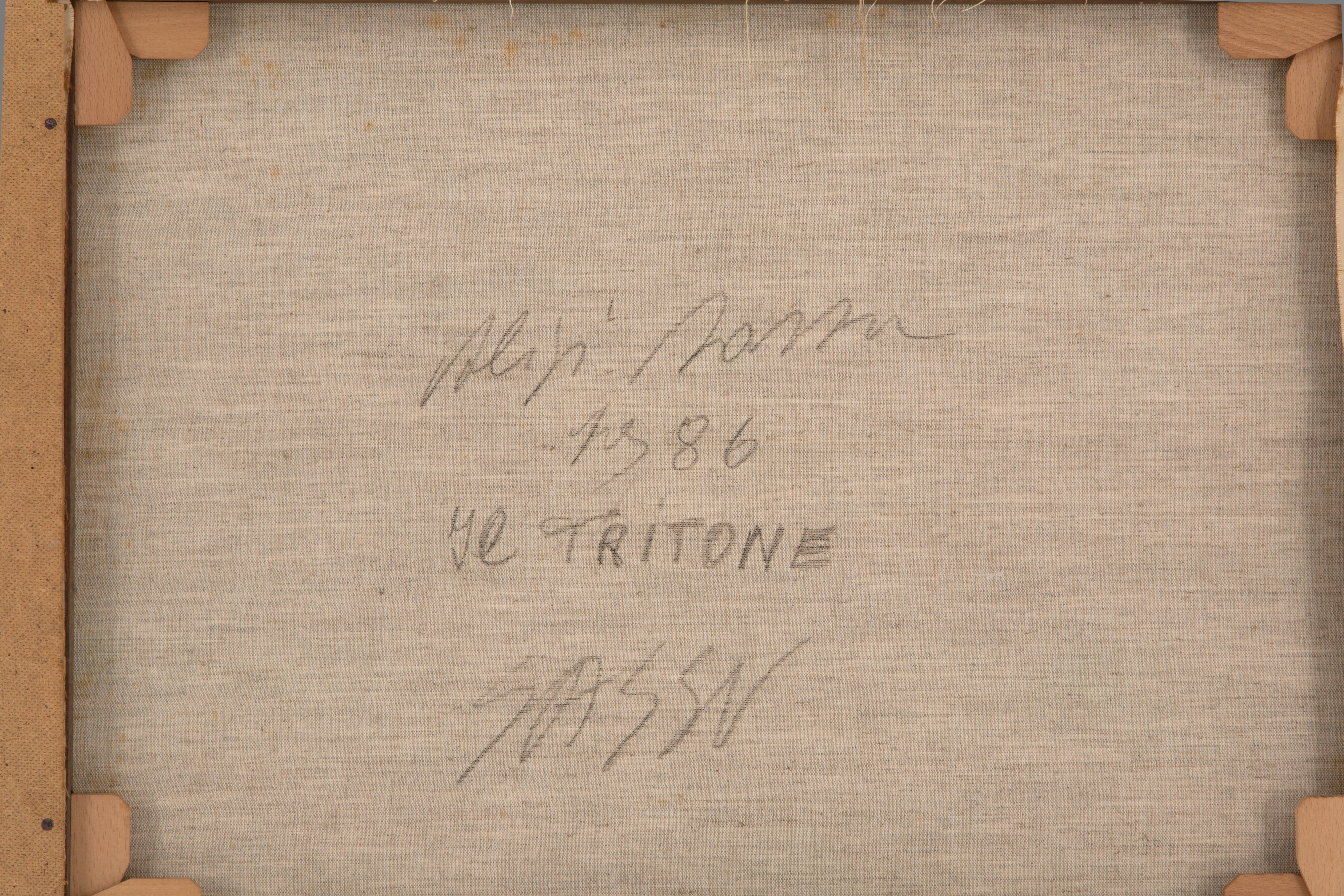 Acquarello su tela "I TRITONI"