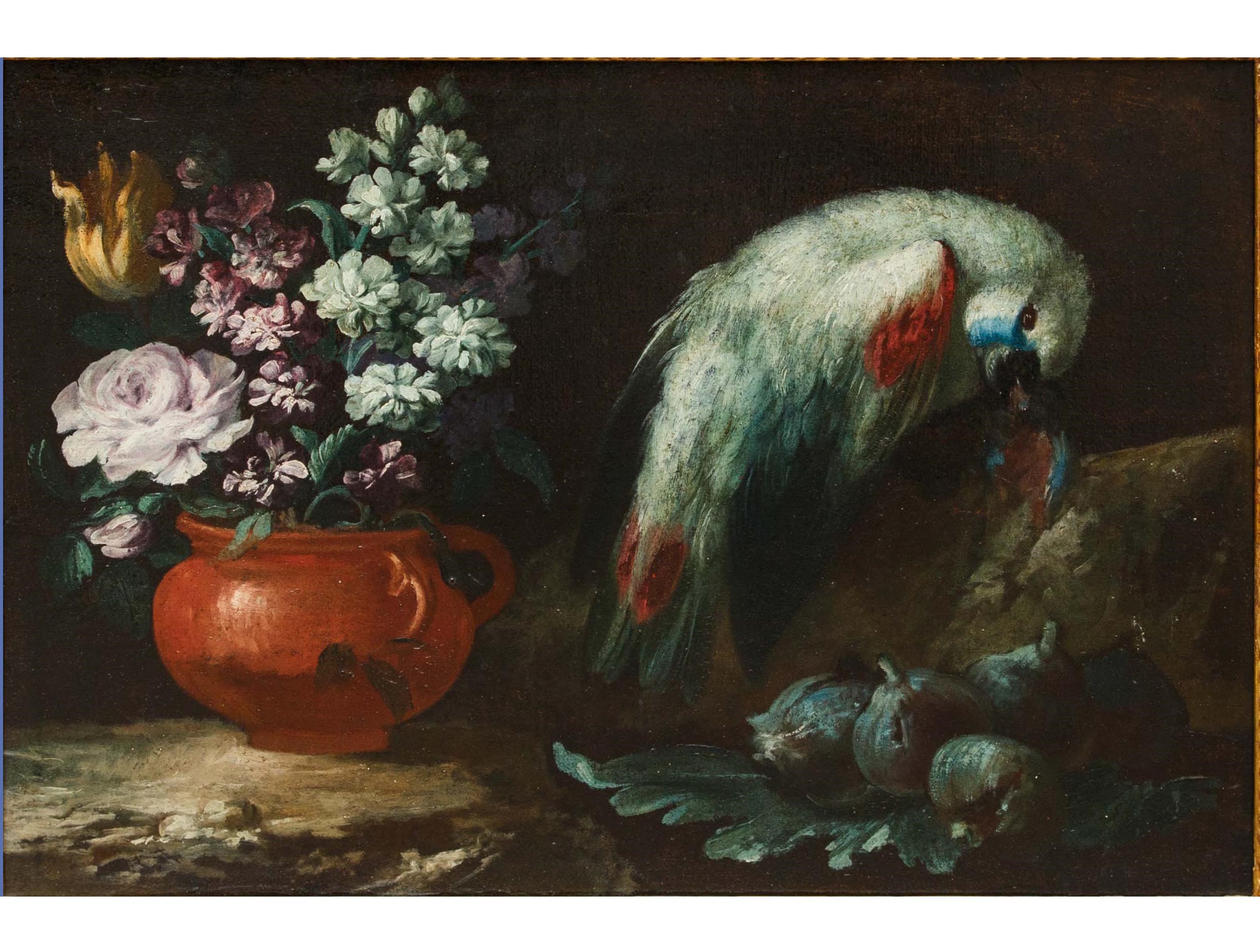 Dipinto "natura Morta con Pappagallo"