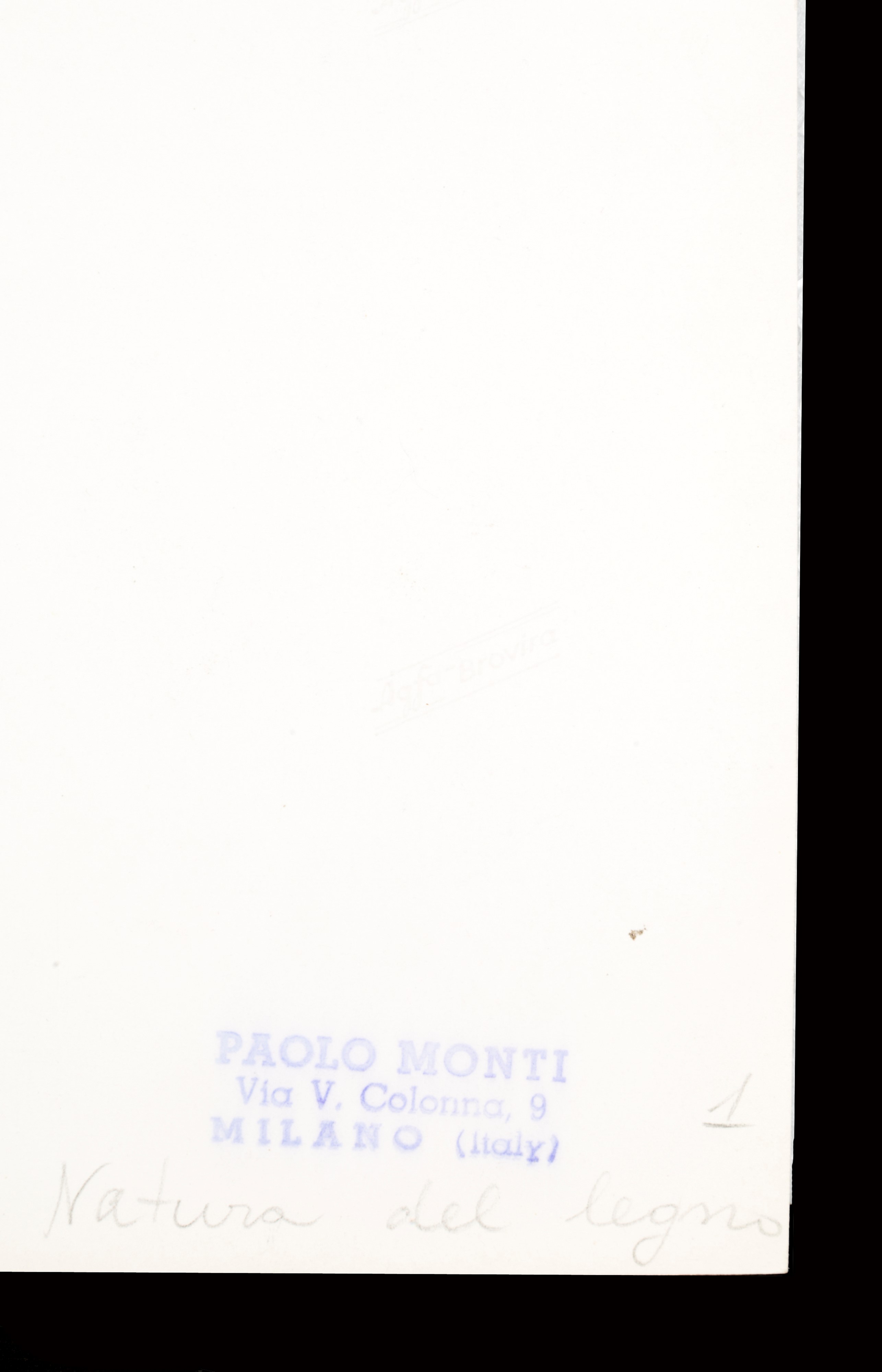 Paolo Monti - "natura del Legno"