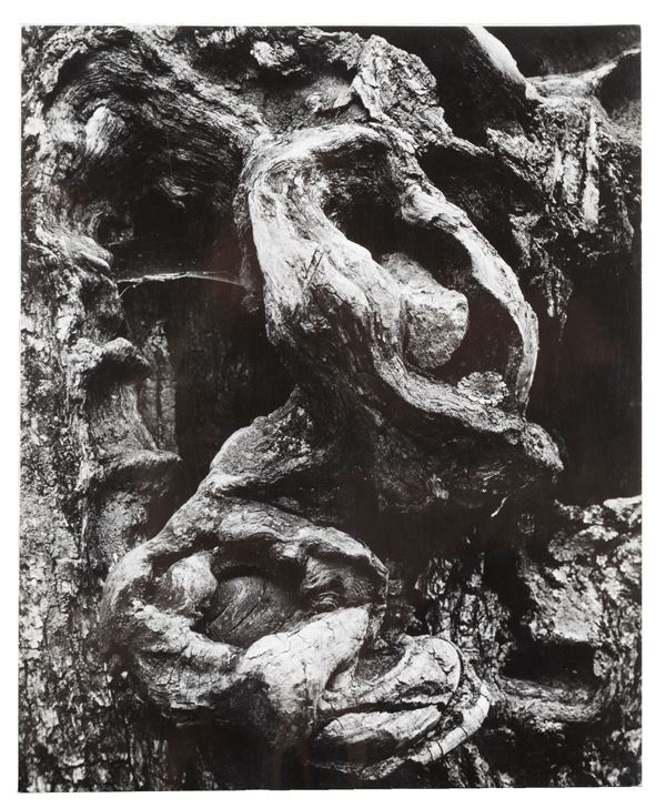 PAOLO MONTI - "UNTITLED"