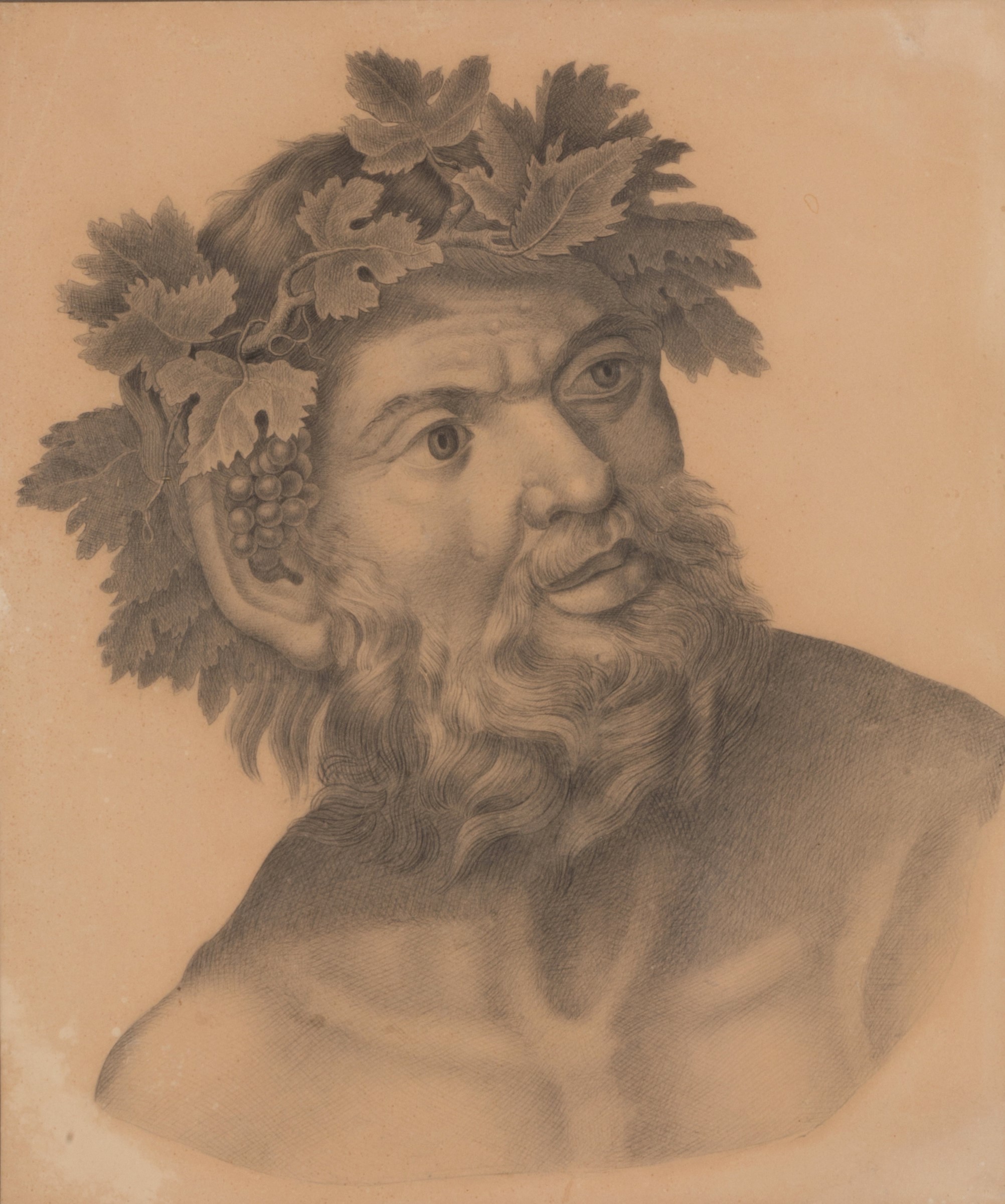 Disegno "bacco"