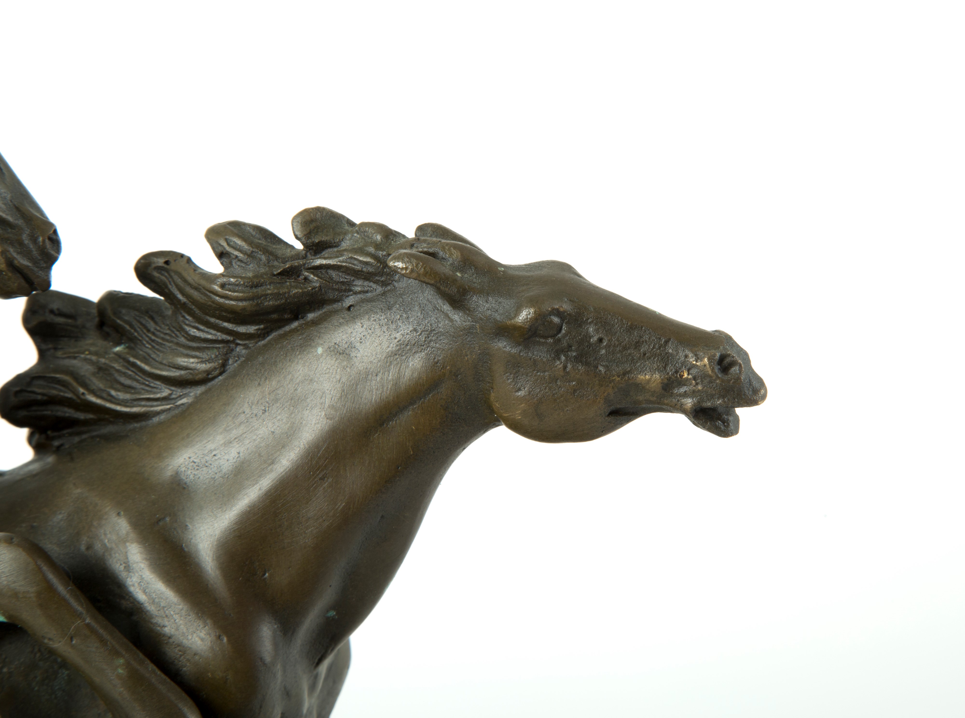 Scultura "cavalli"
