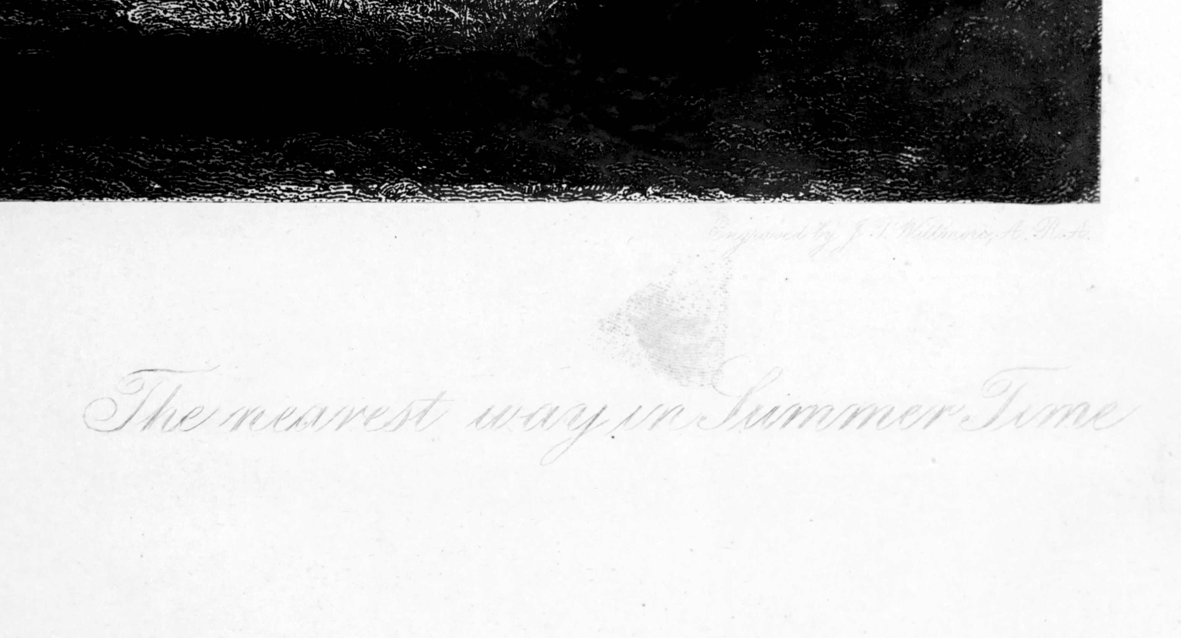 Stampa "paesaggio con Cavalli"