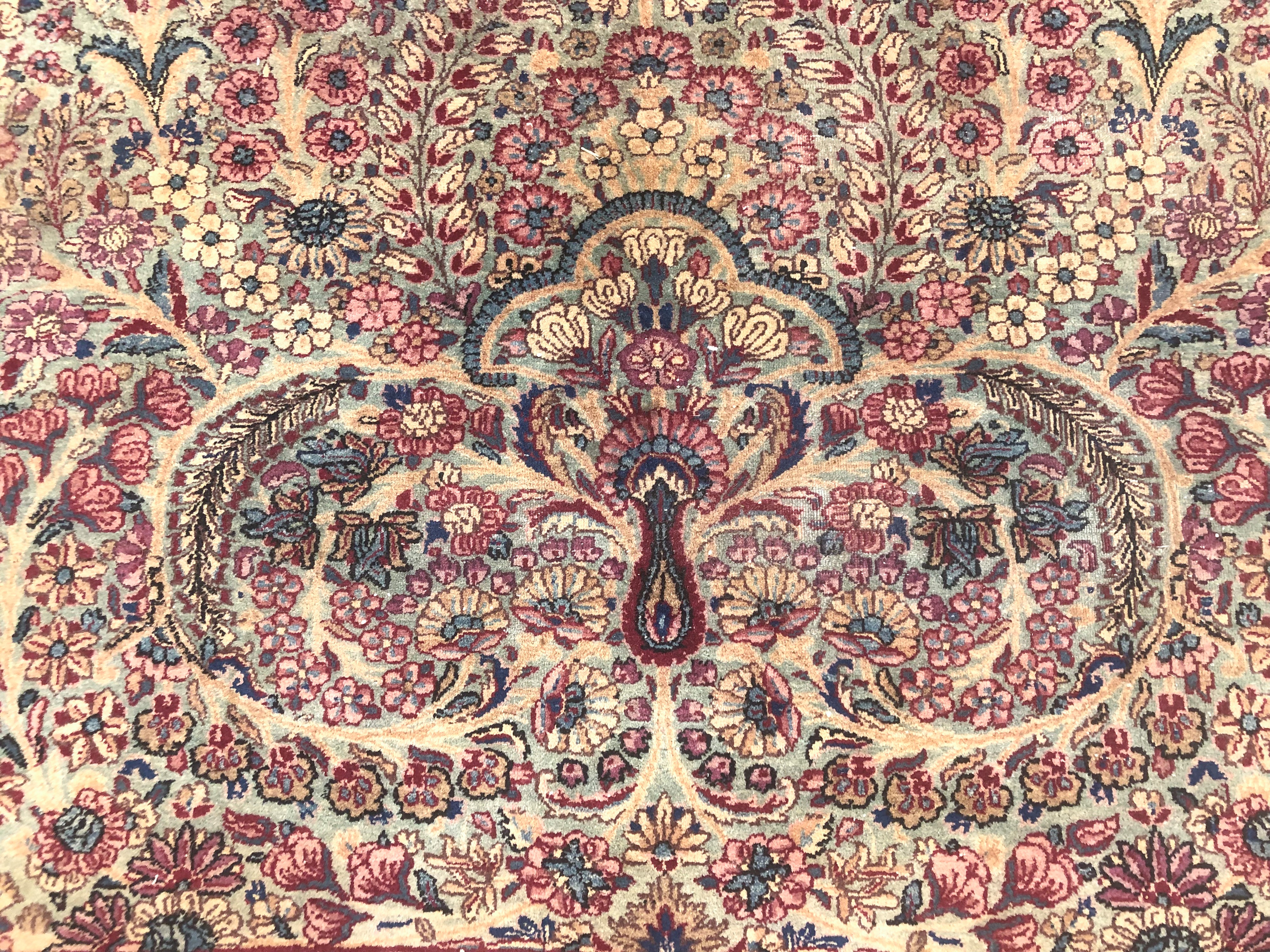 Kirman Laver. Persia