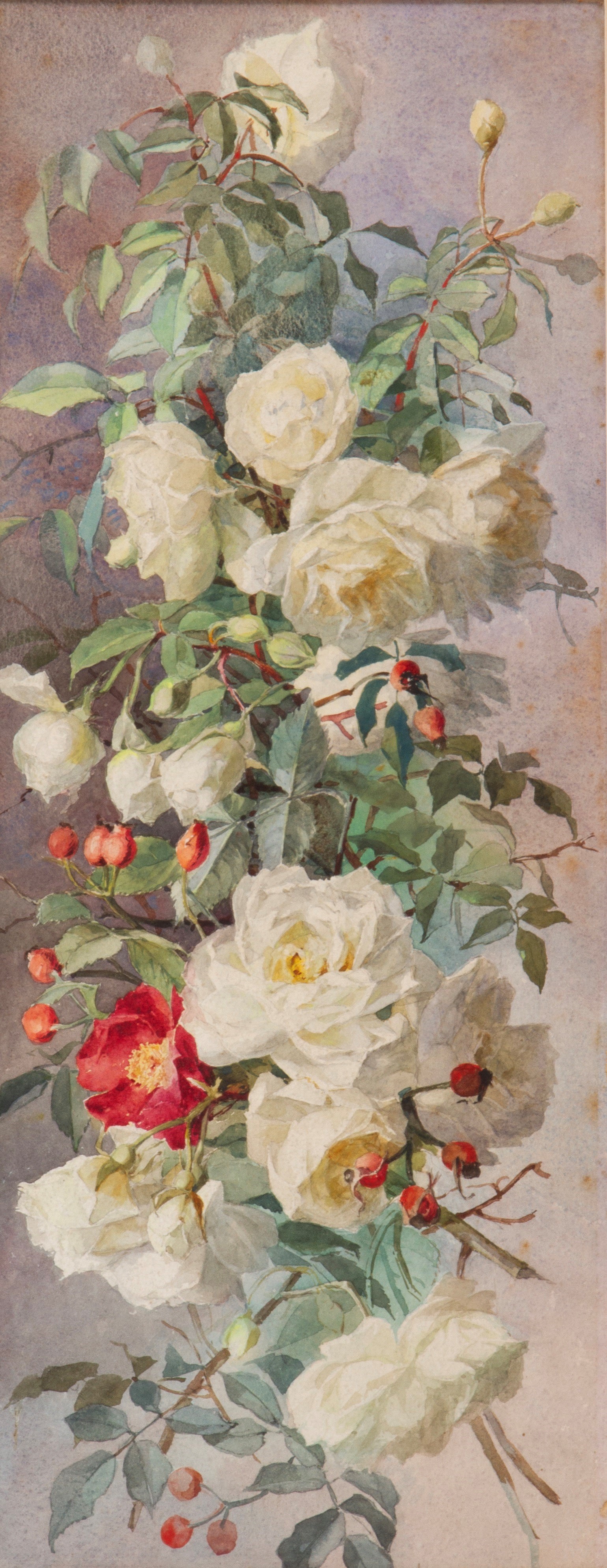 Acquarello "rose"