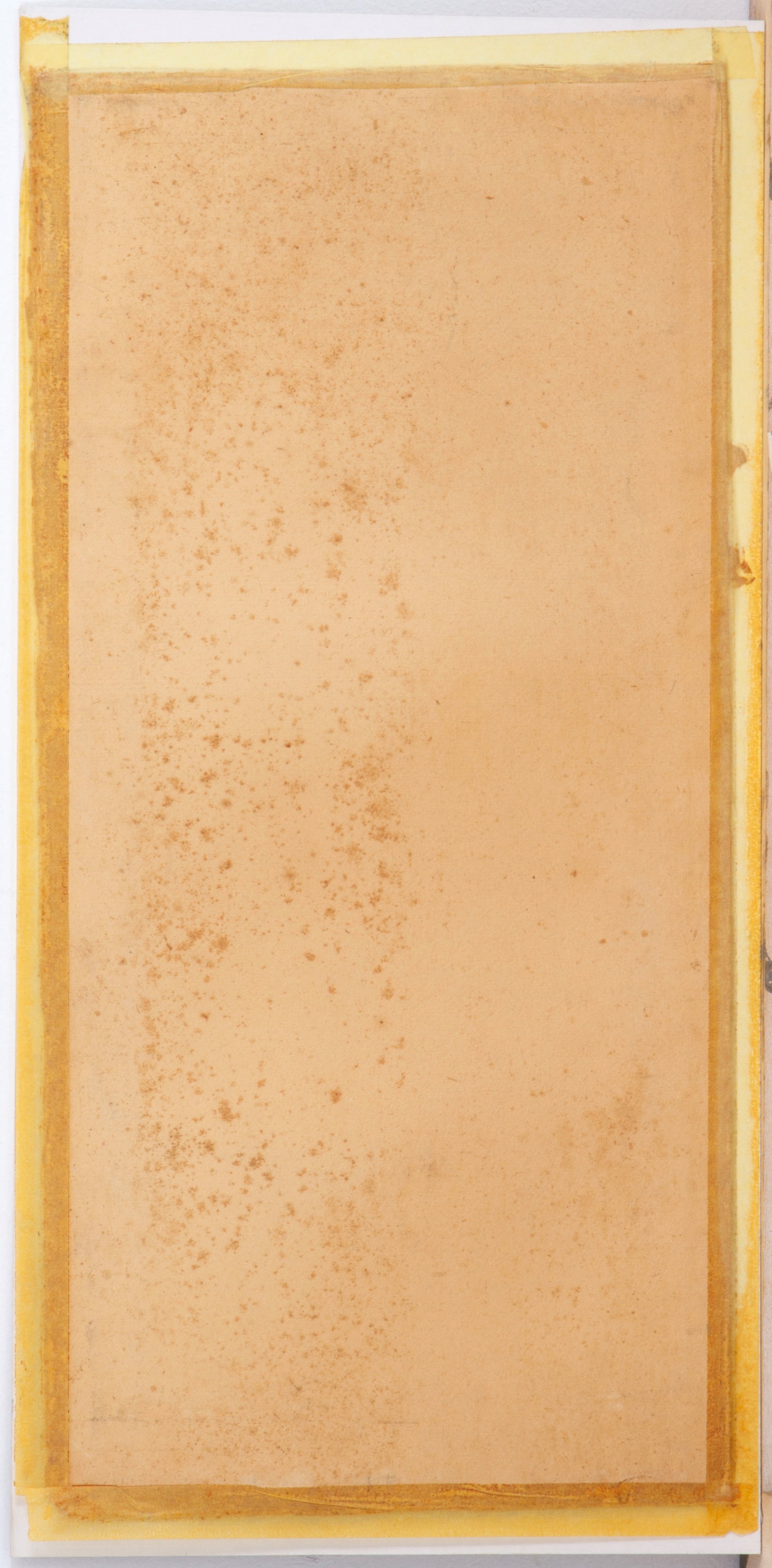 Acquarello "rose"