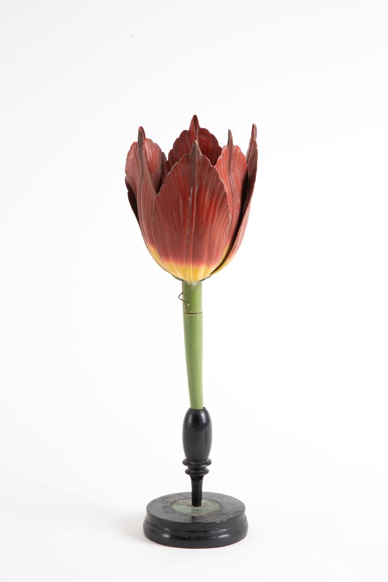 Fiore Didattico Tulipano. Brendel