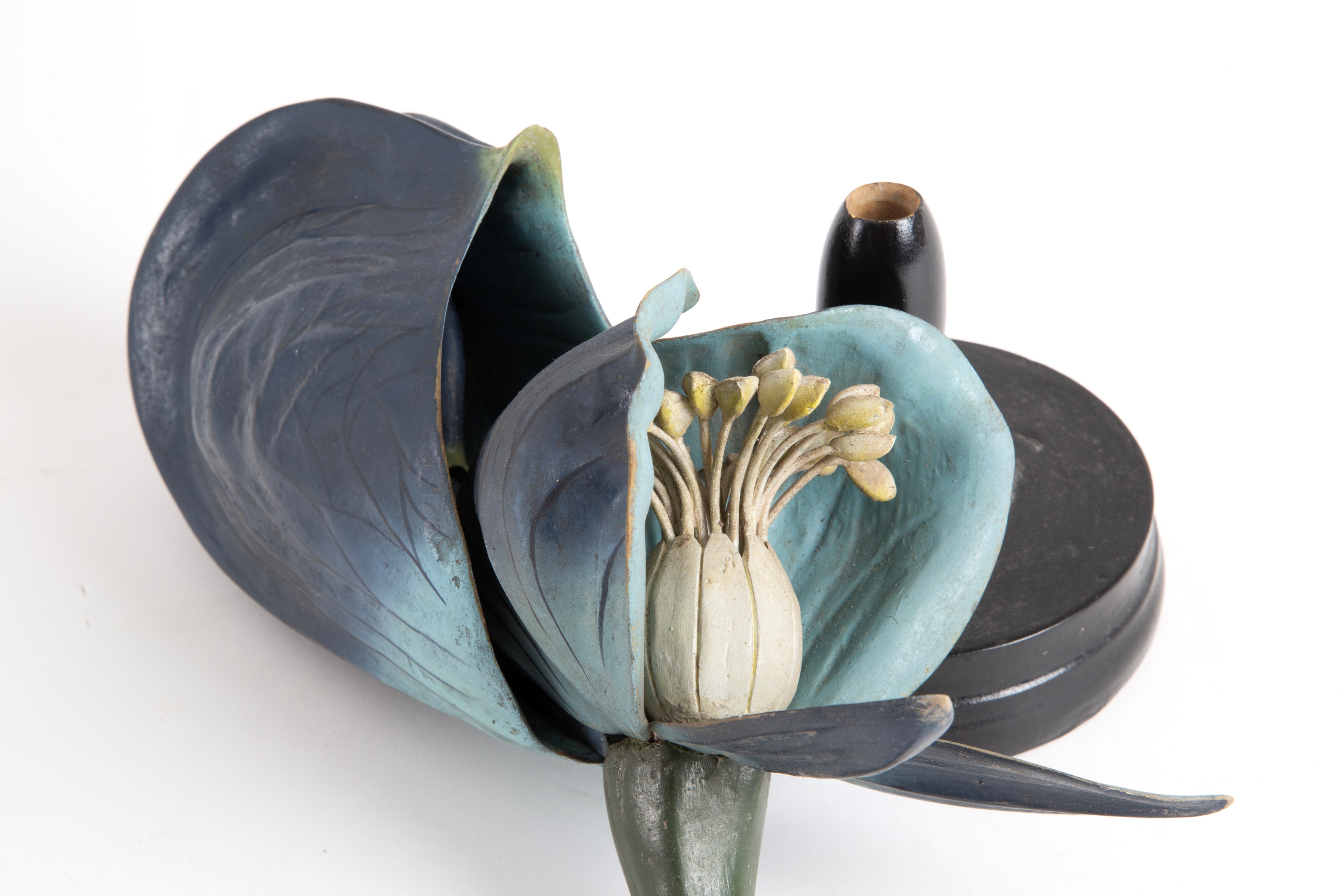 Fiore Didattico Aconito. Brendel