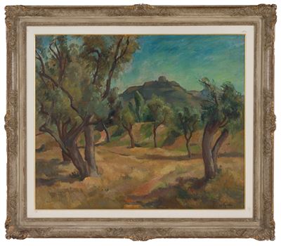 Uliveto a Montignoso, olio su tela
