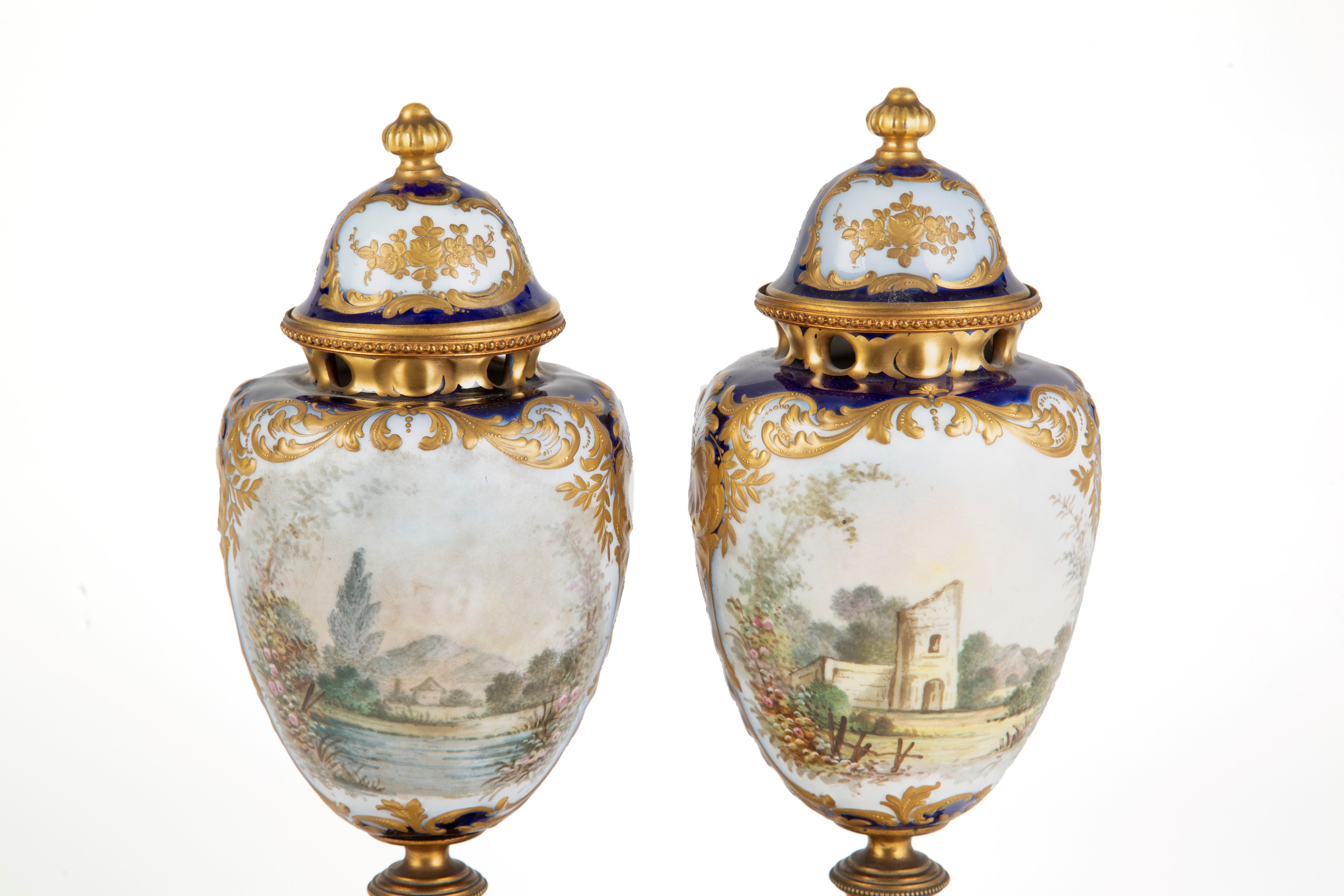 Coppia di vasi Sevres