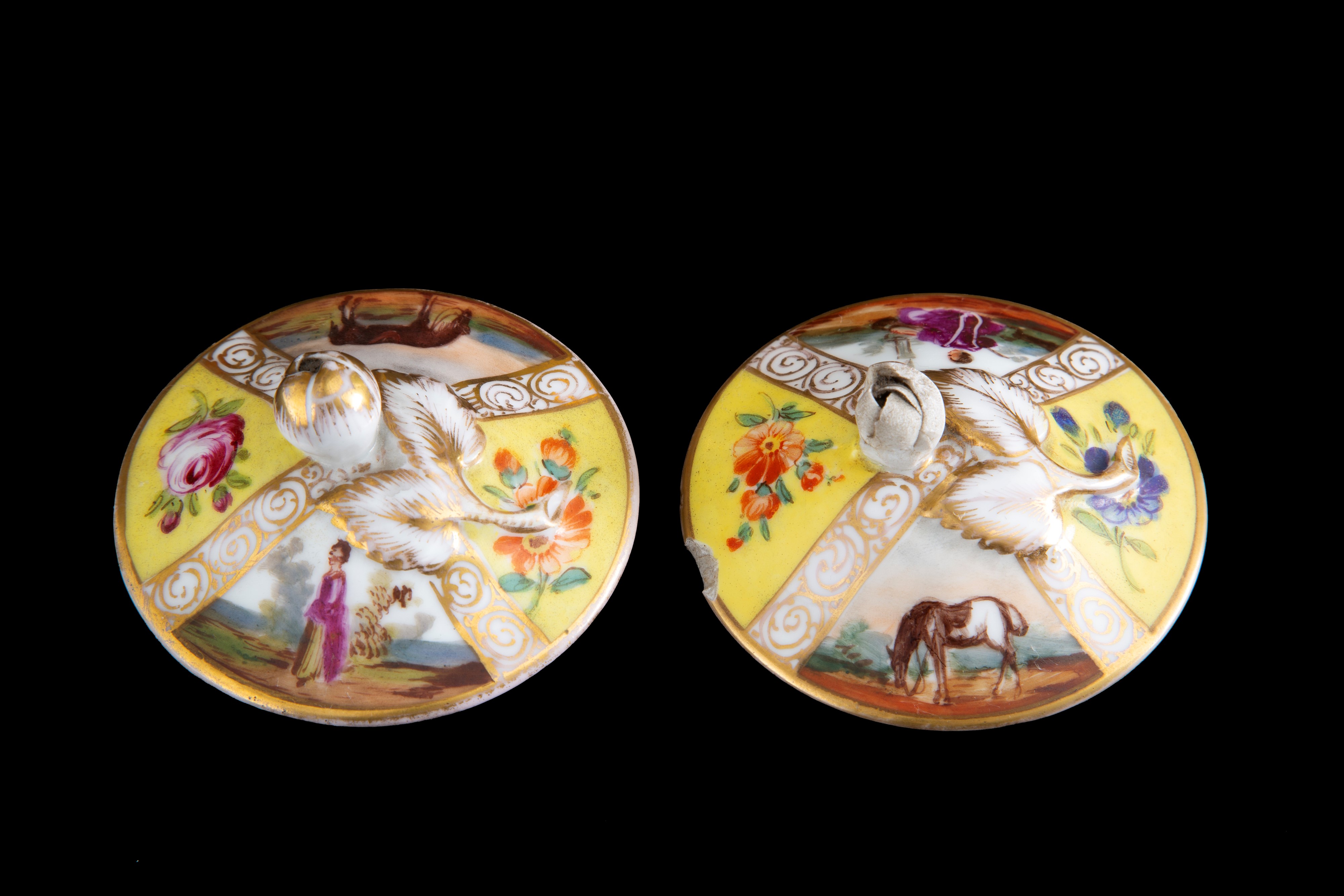 Due vasi a fondo giallo