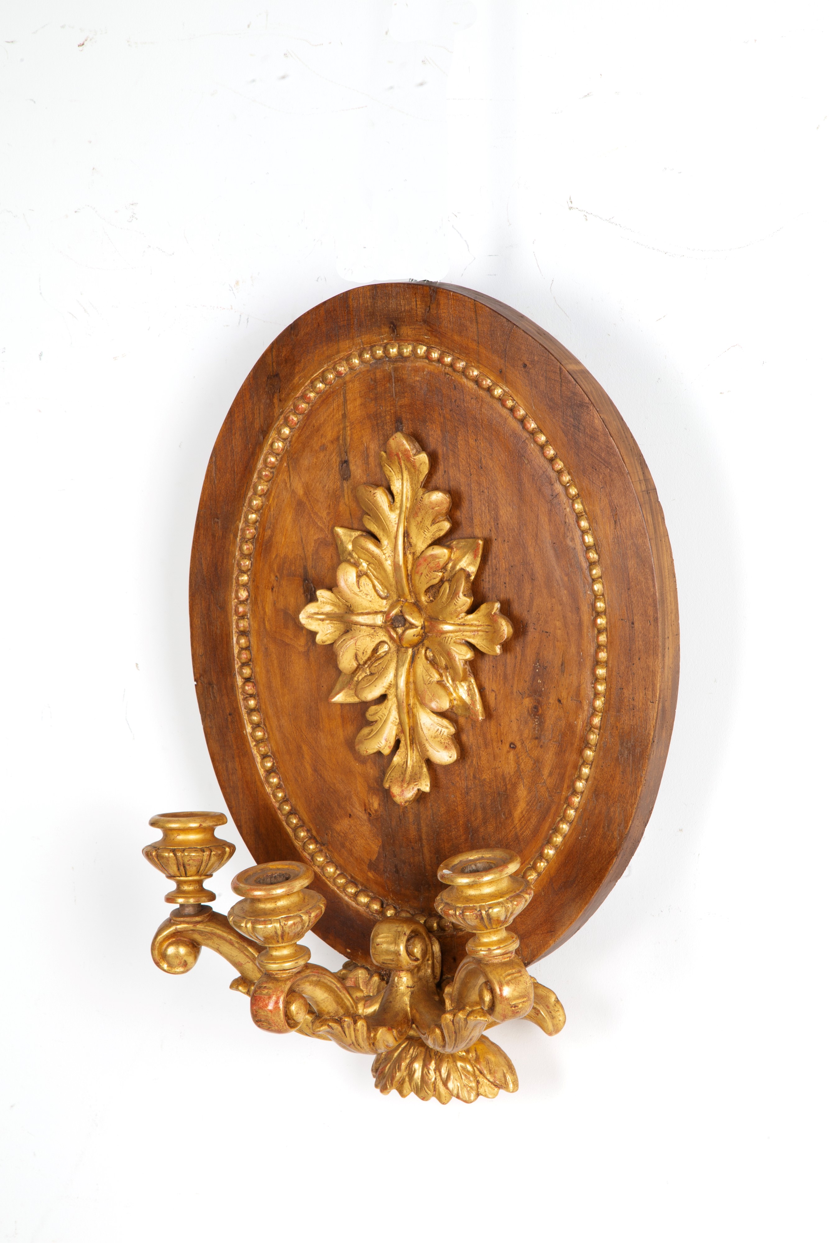 Coppia di applique a scudo, legno scolpito e parzialmente dorato, XIX secolo