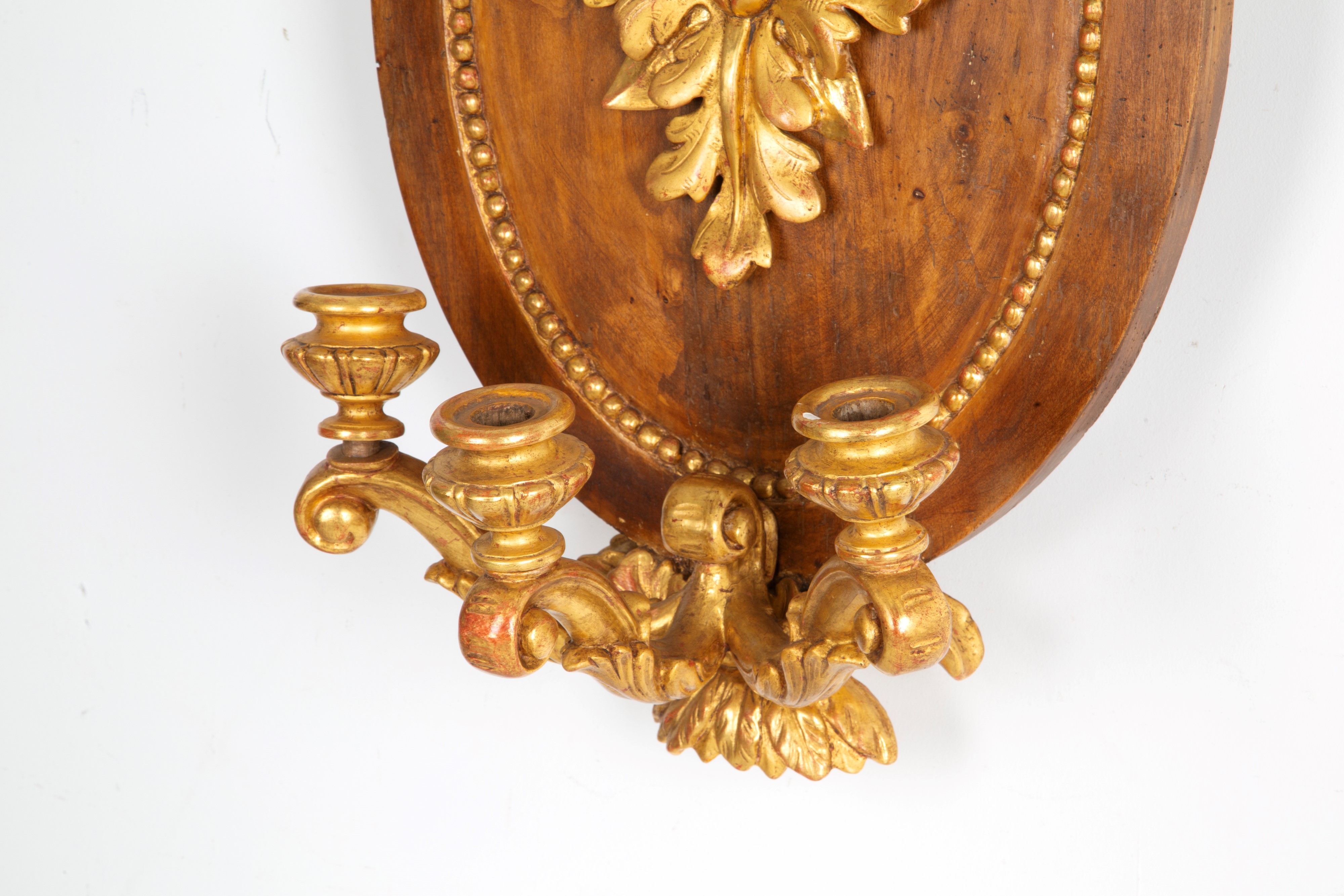 Coppia di applique a scudo, legno scolpito e parzialmente dorato, XIX secolo