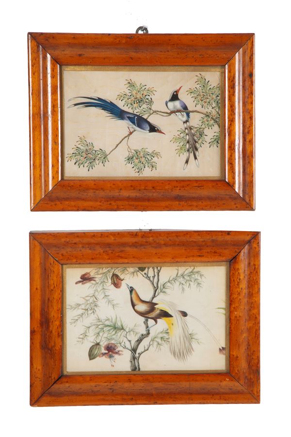 Pair of paintings "SONGBIRDS ON A BRANCH"