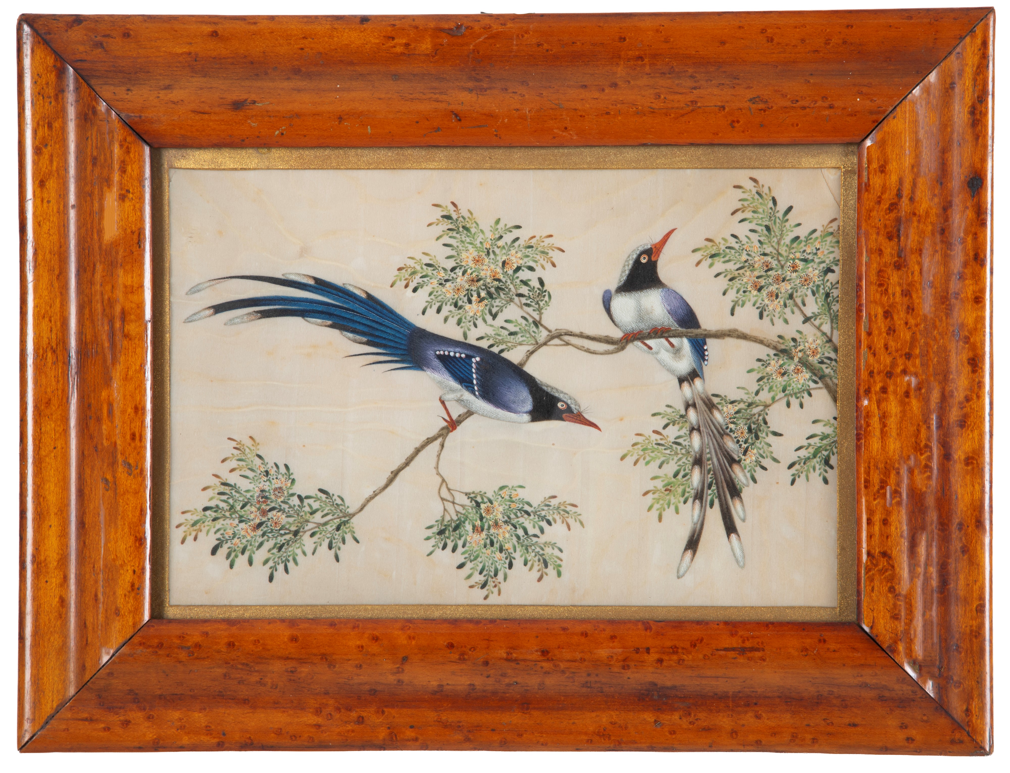 Coppia di dipinti "UCCELLI CANTERINI SUL RAMO"