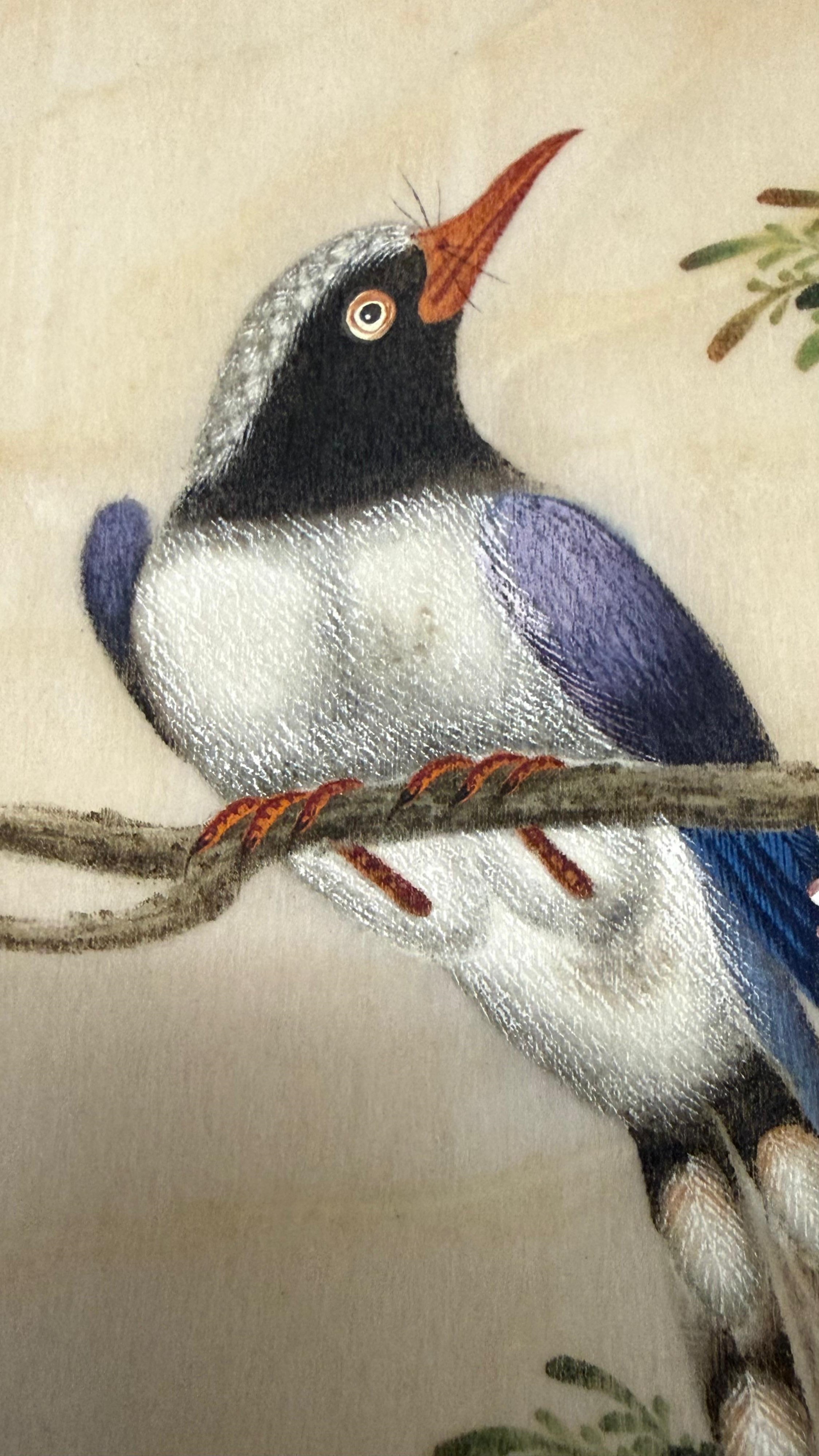 Coppia di dipinti "UCCELLI CANTERINI SUL RAMO"