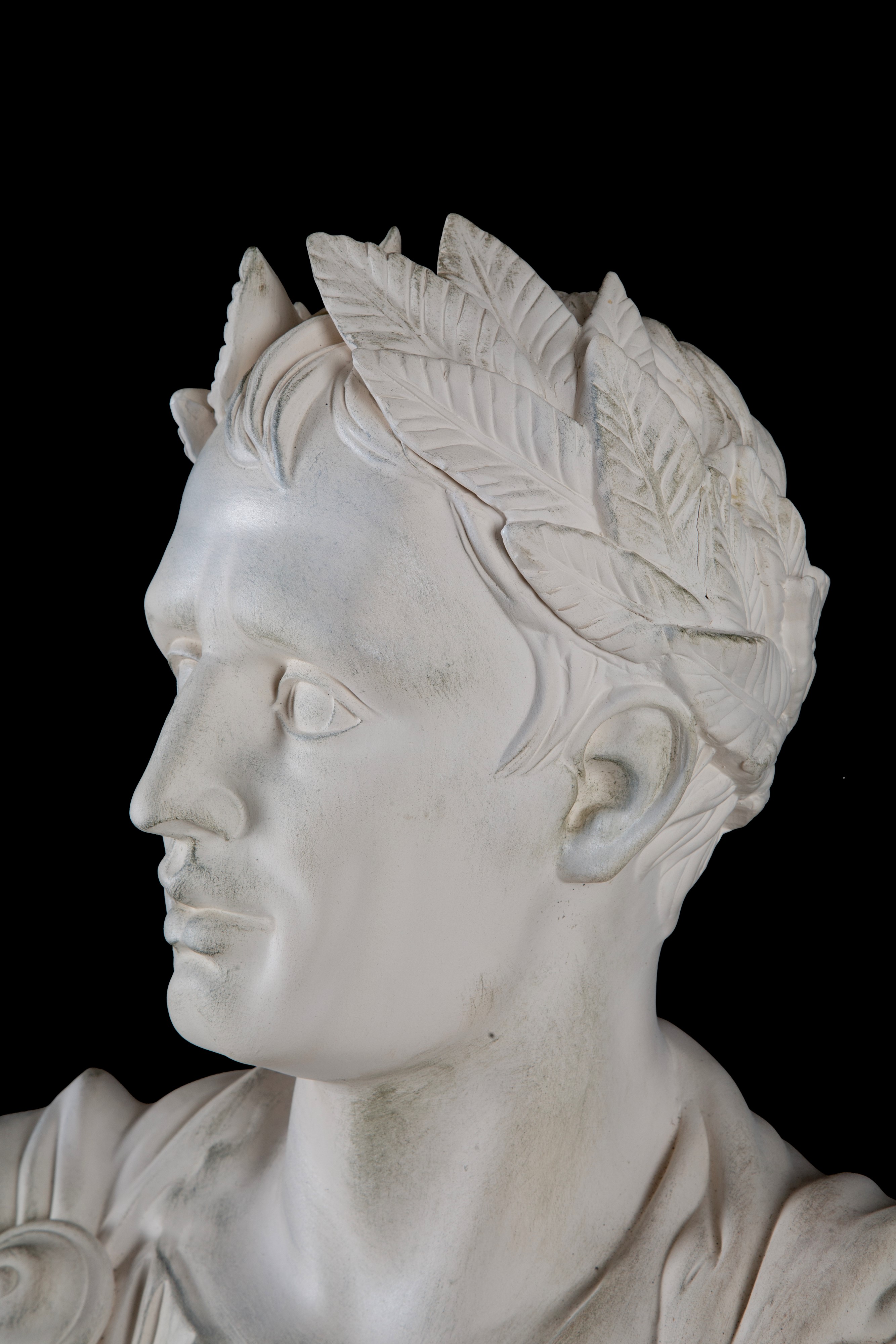 Busto "napoleone"