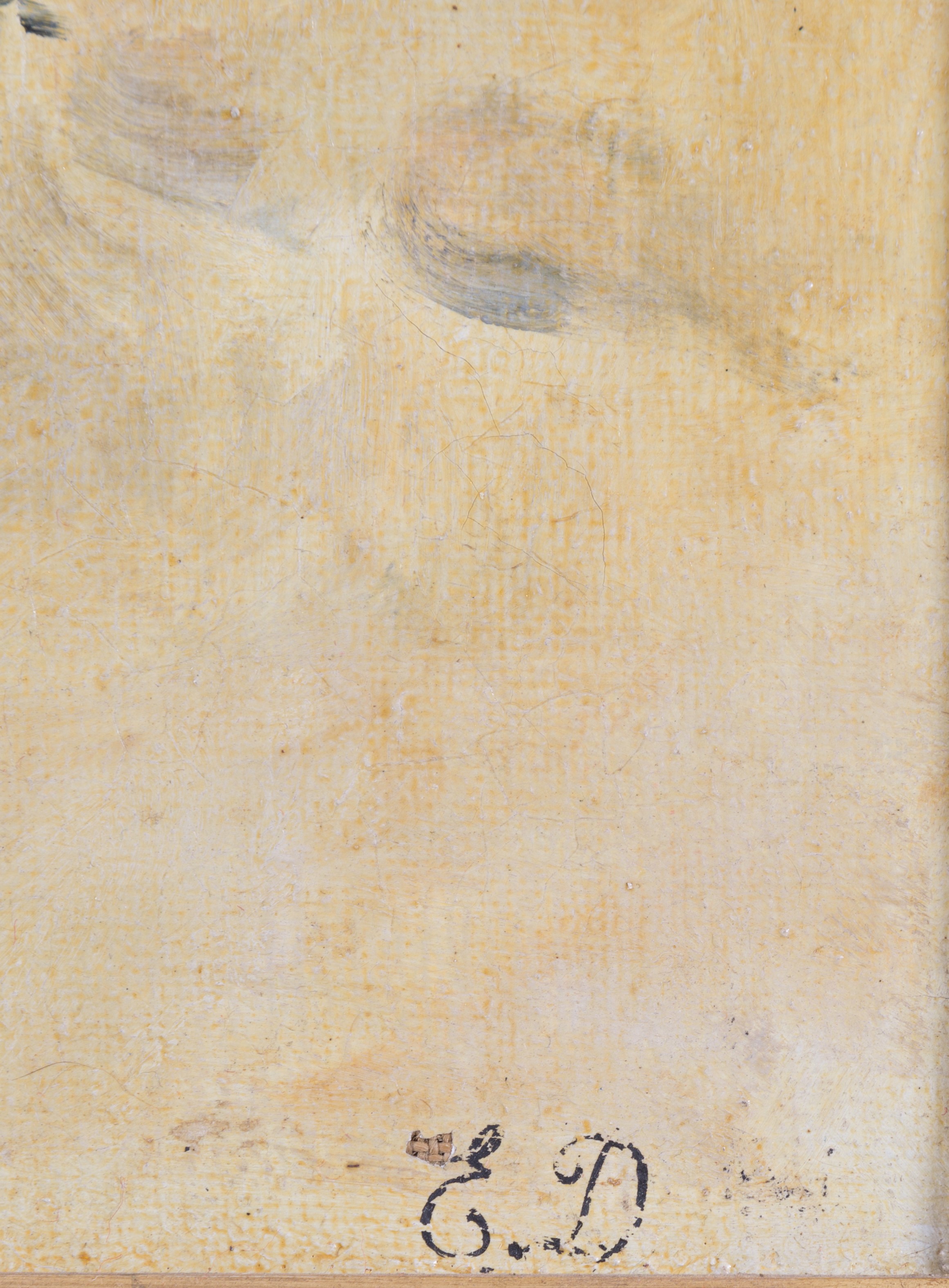 Autore non identificato, Fanciulla orientale, olio su tela