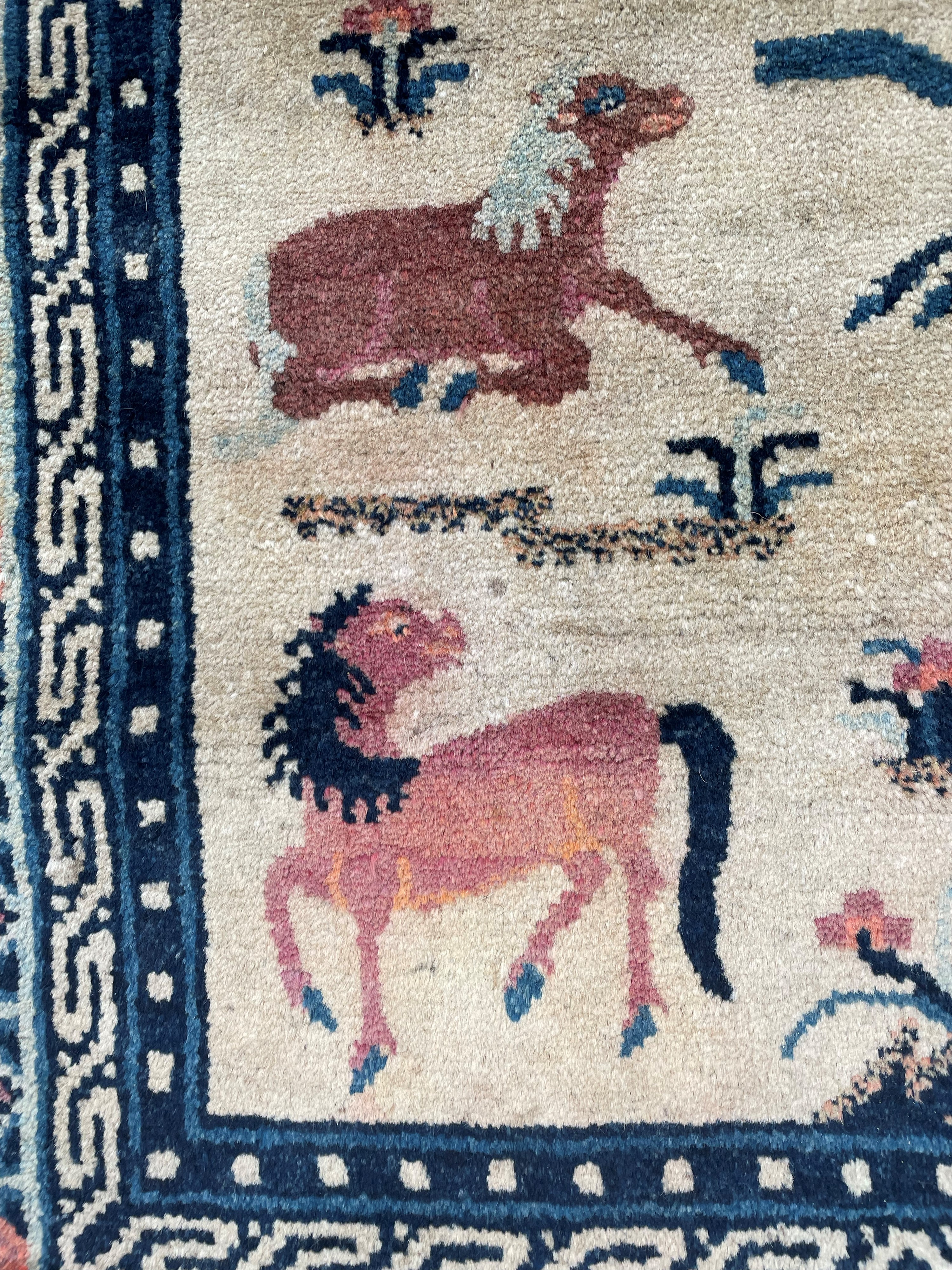 Tappeto Pekino. Cina