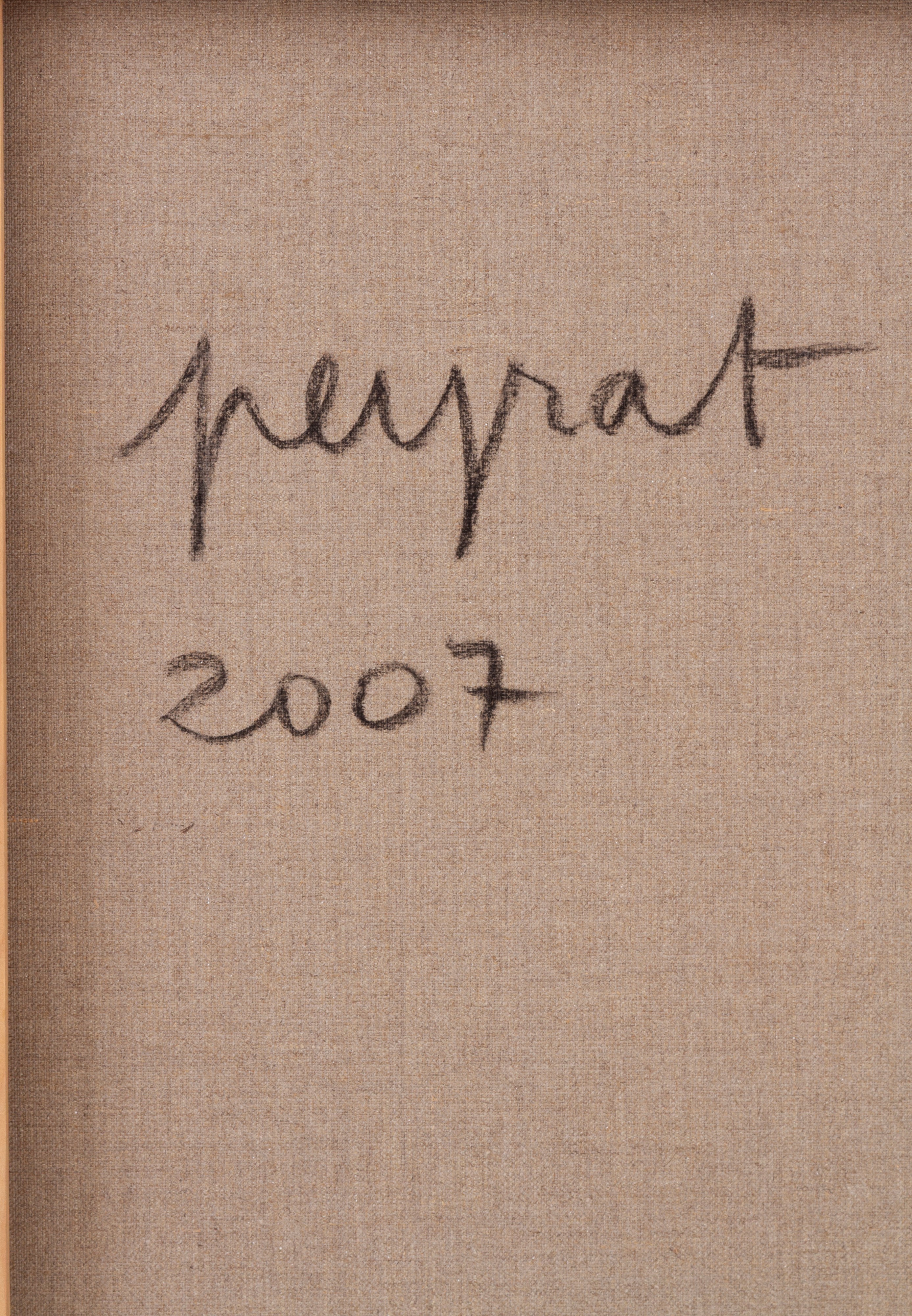 Benedicte Peyrat - Acrilico SOI-MEME COMME UN AUTRE, 2007, 162x130 cm