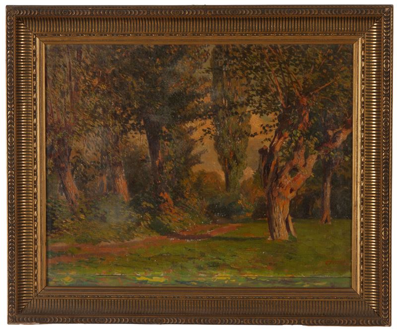 Cesare Viazzi - Passaggio boschivo, olio su cartoncino, 34x45 cm