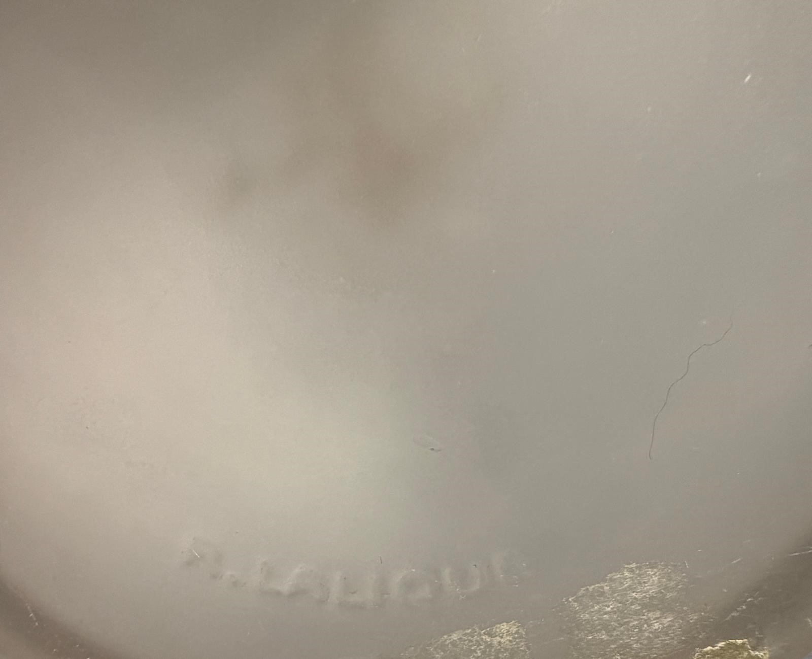 R. LALIQUE, Vaso in vetro con decorazione a piume