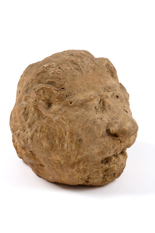 Ancient lion's head