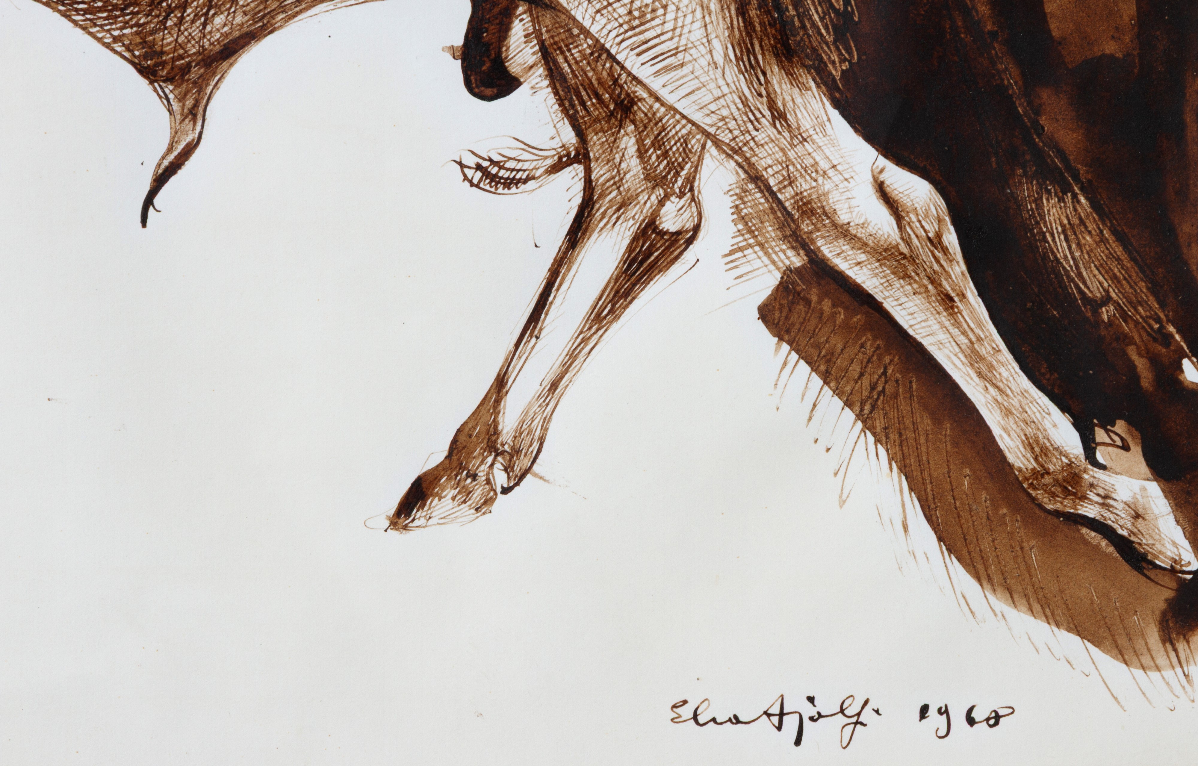 Elia Ajolfi - Acquarello 'Tori', 1960