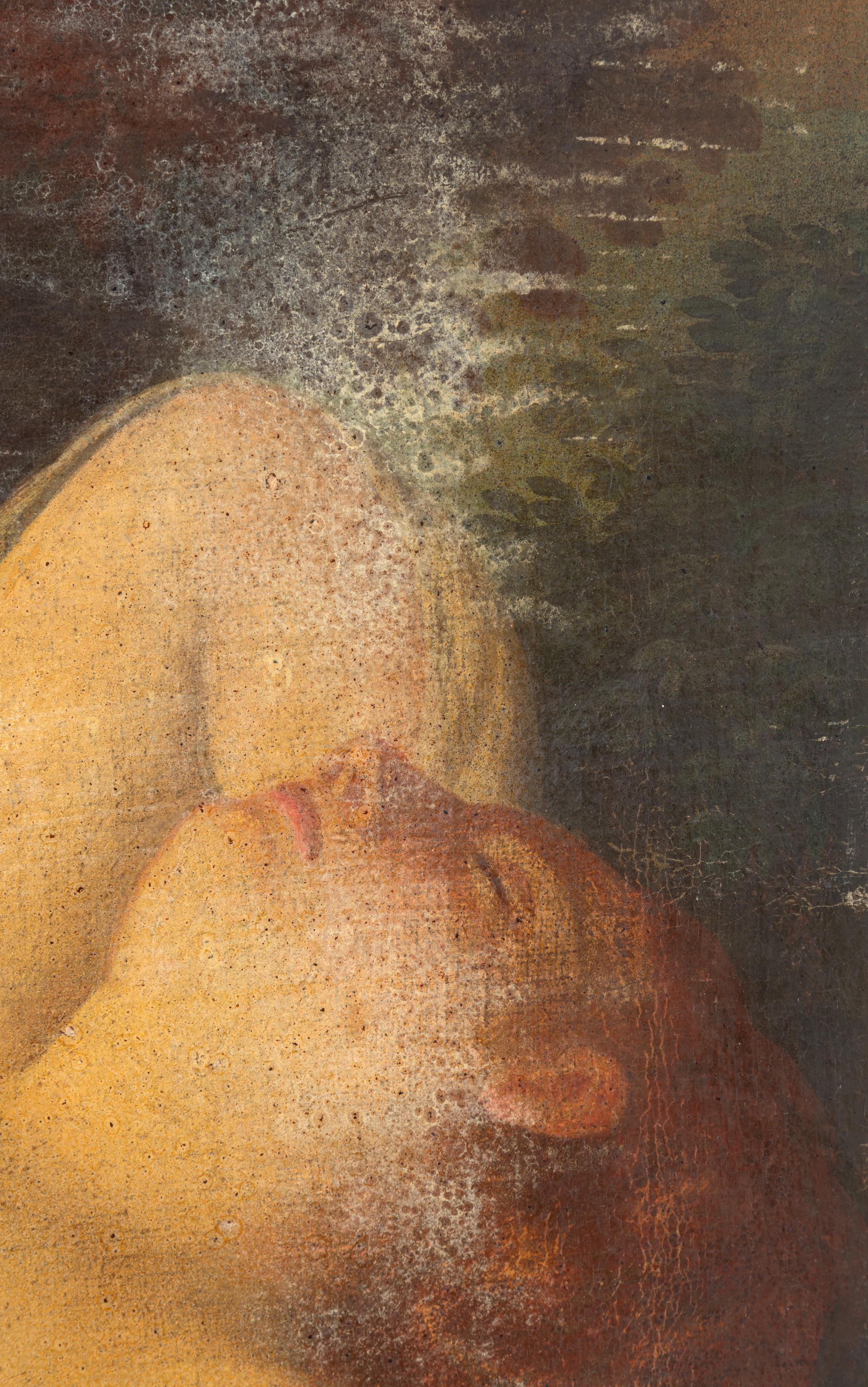 Dipinto raffigurante Venere nel paesaggio, olio su tela (XVII secolo)
