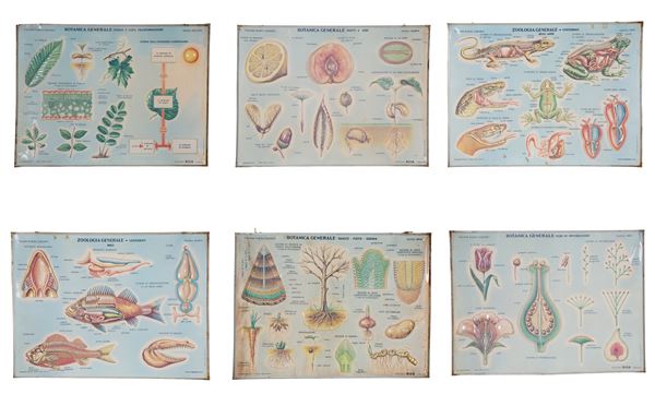 Six educational panels