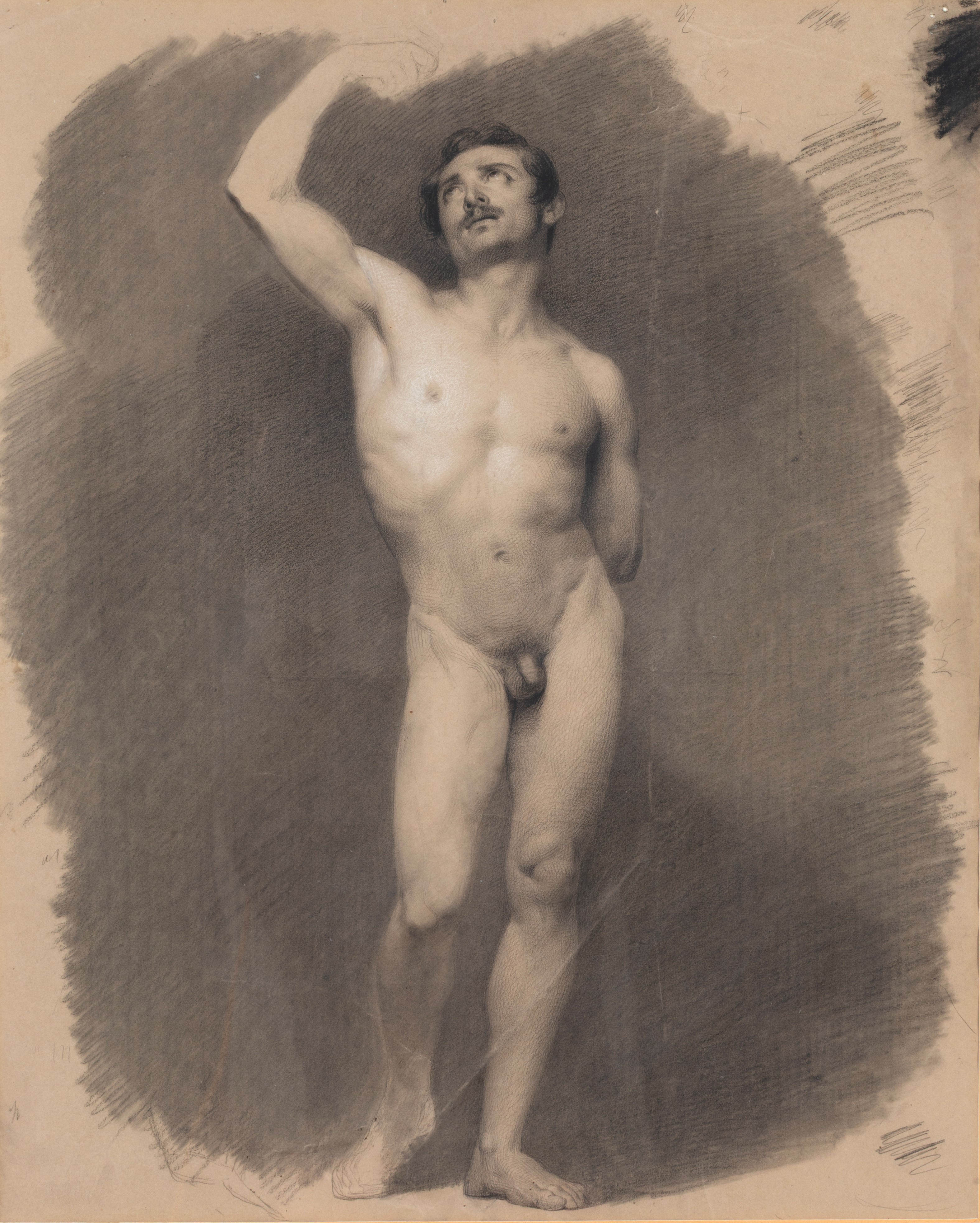 Placido Fabris - Nudo maschile, disegno a matita e carboncino su carta
