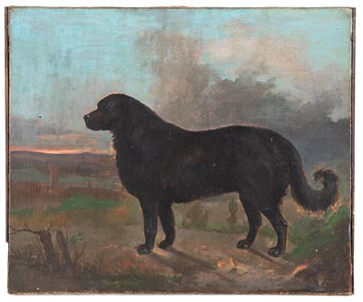 Dipinto raffigurante Cane, olio su tela, XIX secolo